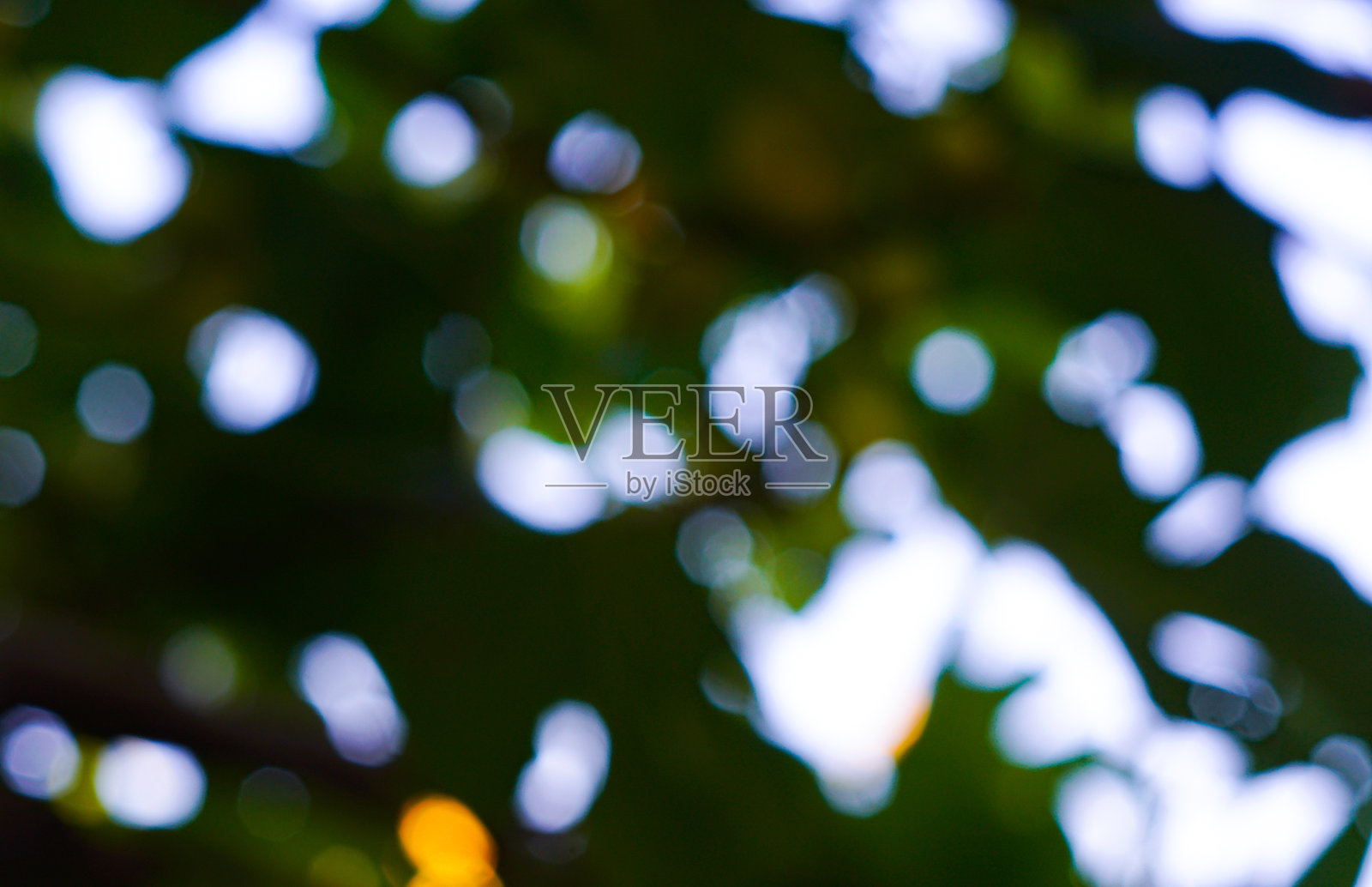 绿色散景背景照片摄影图片