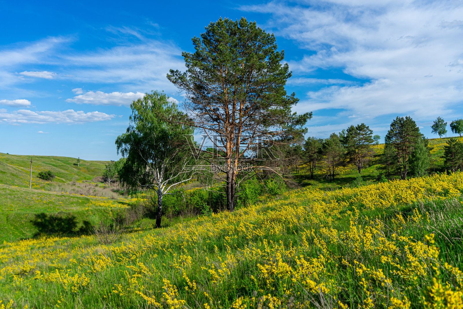 “瓦西尔基夫卡喀尔巴阡”自然保护区照片摄影图片