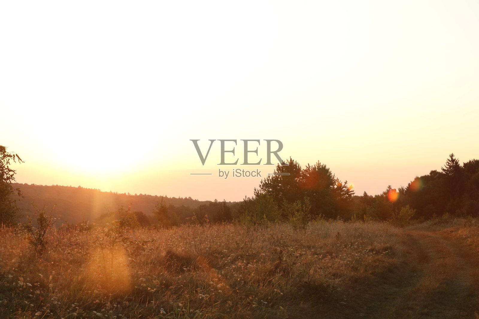 清晨日出时分,草地上空的美丽天空景色照片摄影图片