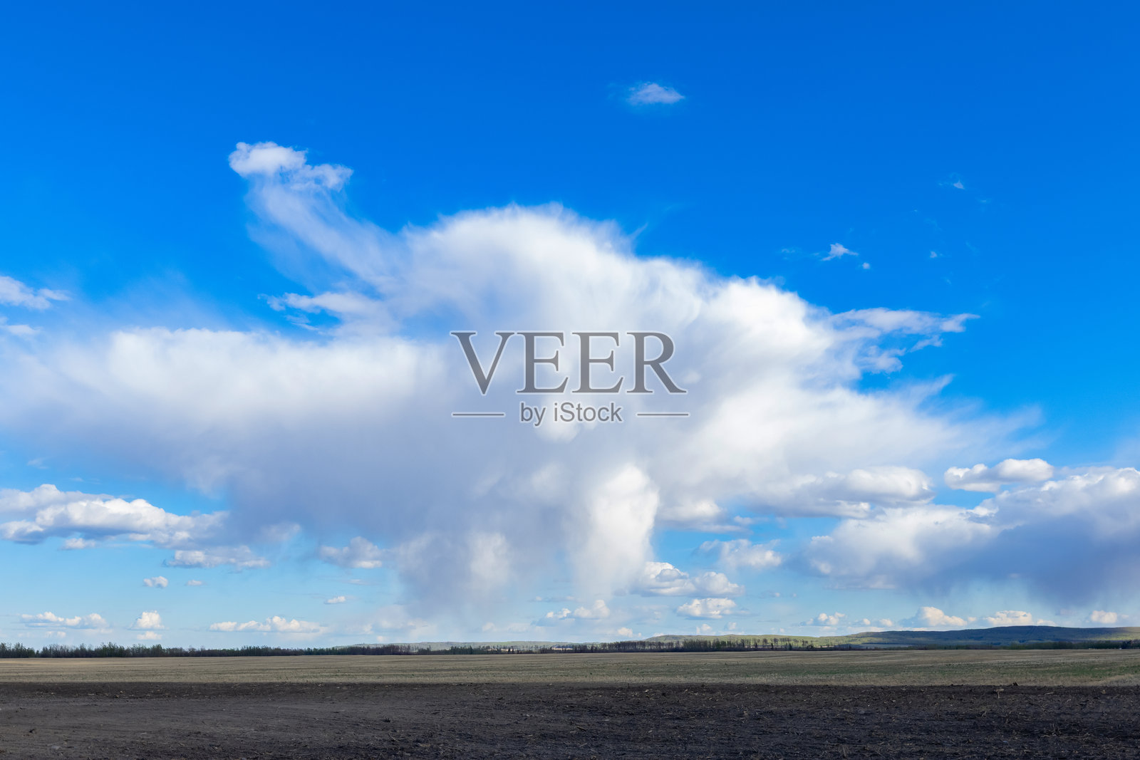 新播种的田野、树木、春雨天空照片摄影图片