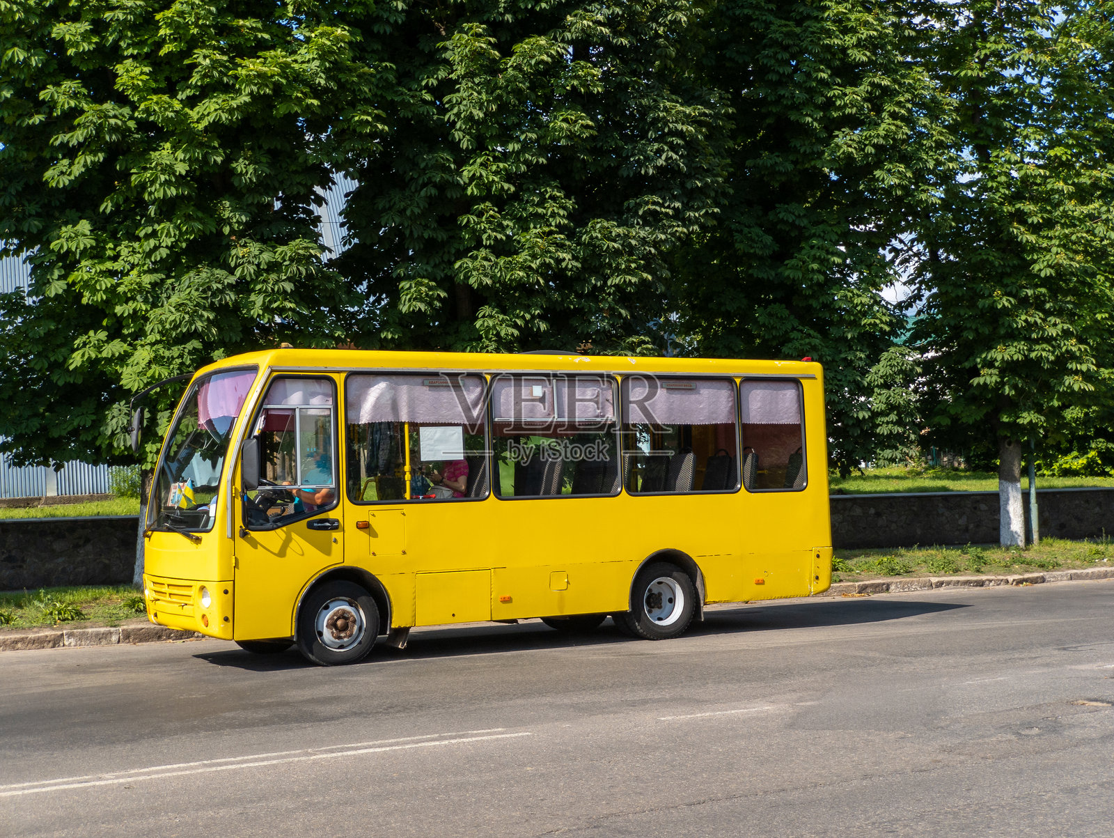 一辆黄色公交车在街道上行驶,旁边是树木。照片摄影图片