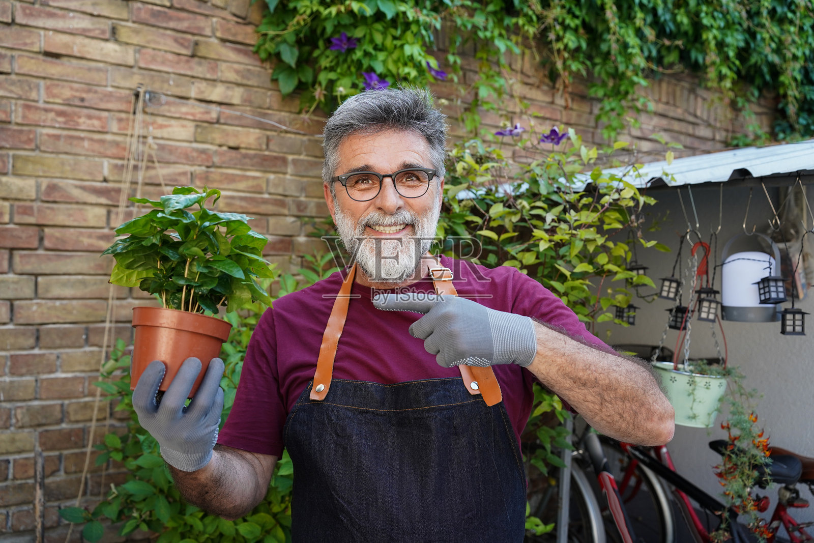 退休老人正在阳台上园艺——快乐的退休人士照顾植物,享受户外爱好照片摄影图片