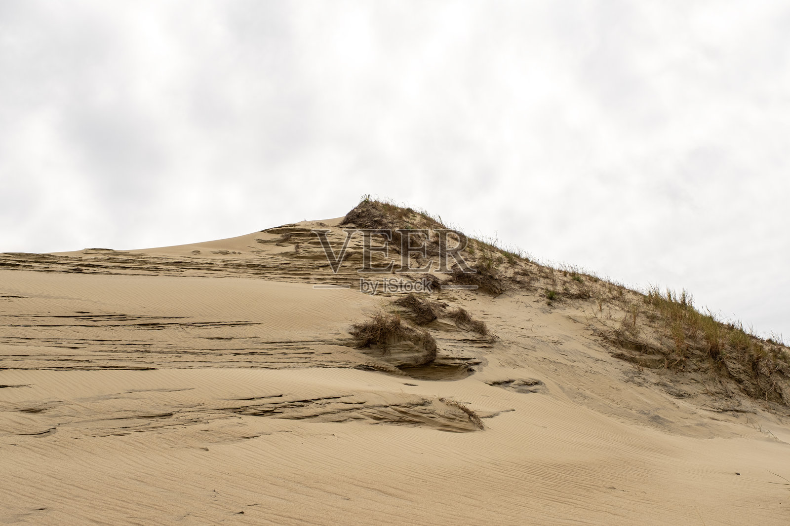 沙丘。立陶宛库罗尼亚沙嘴的风景照片摄影图片