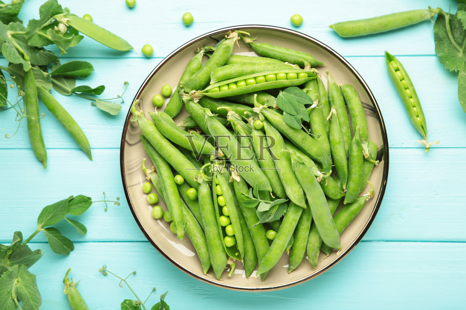 新鲜的绿豌豆放在木碗中,旁边有豆荚和叶子,背景是蓝色木板,健康的绿色蔬菜或豆类。照片摄影图片