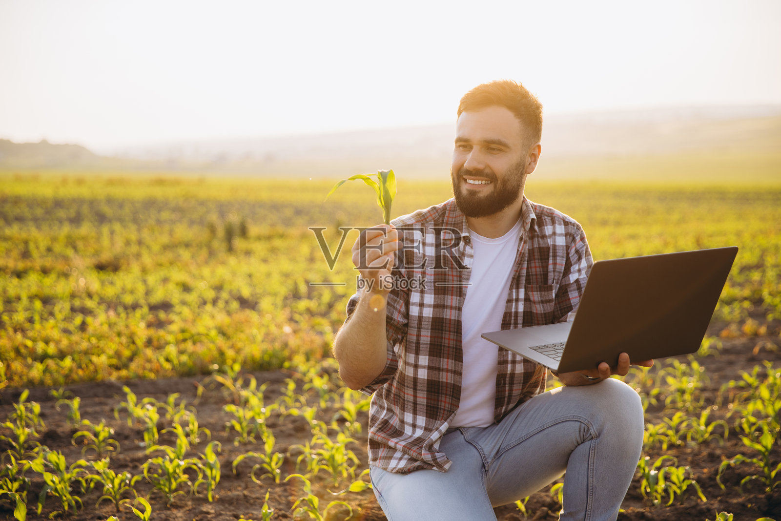 农学家在日落时分的耕作田地里用笔记本电脑分析玉米作物照片摄影图片