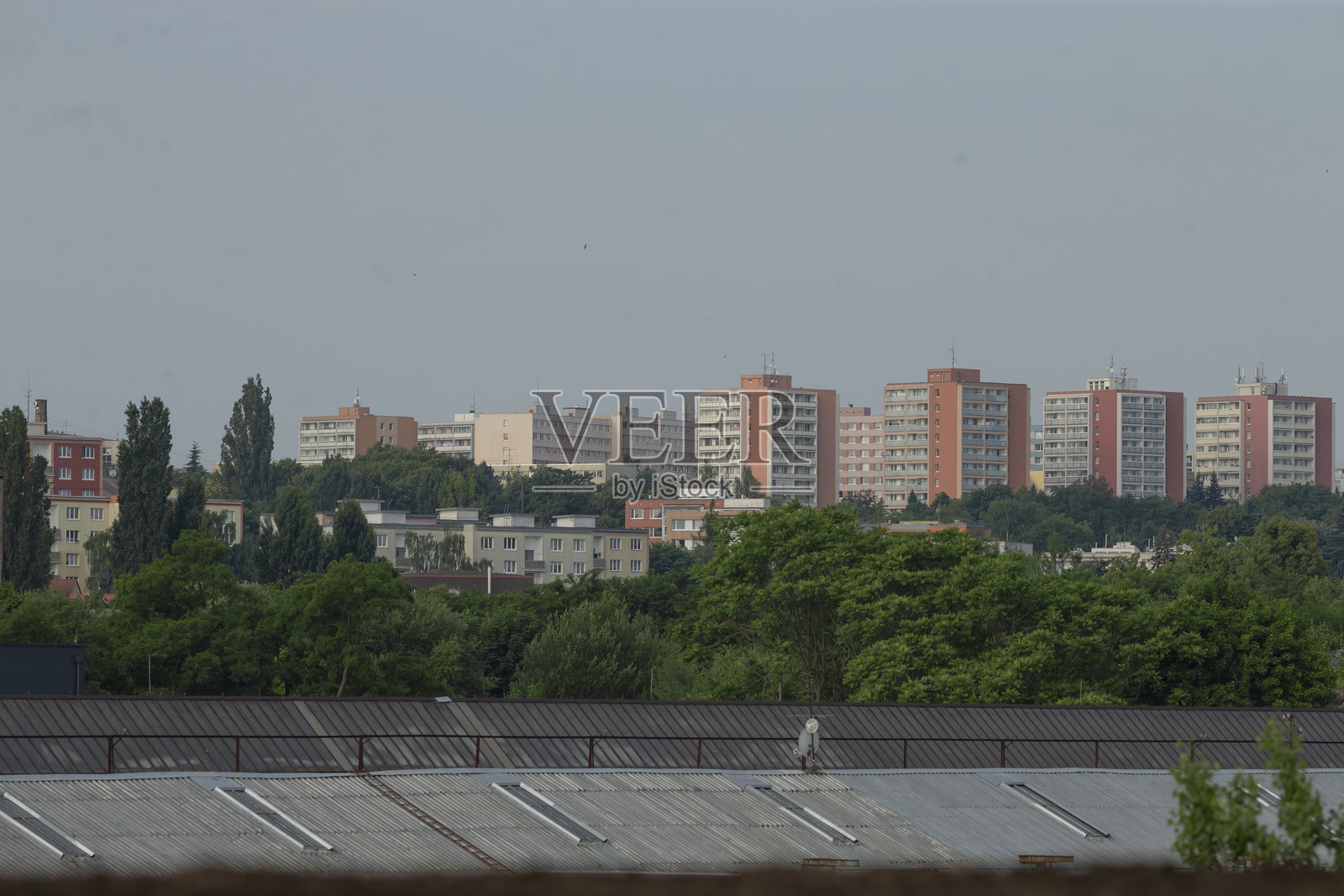 生机勃勃的城市景观,前景中有建筑和郁郁葱葱的树木照片摄影图片