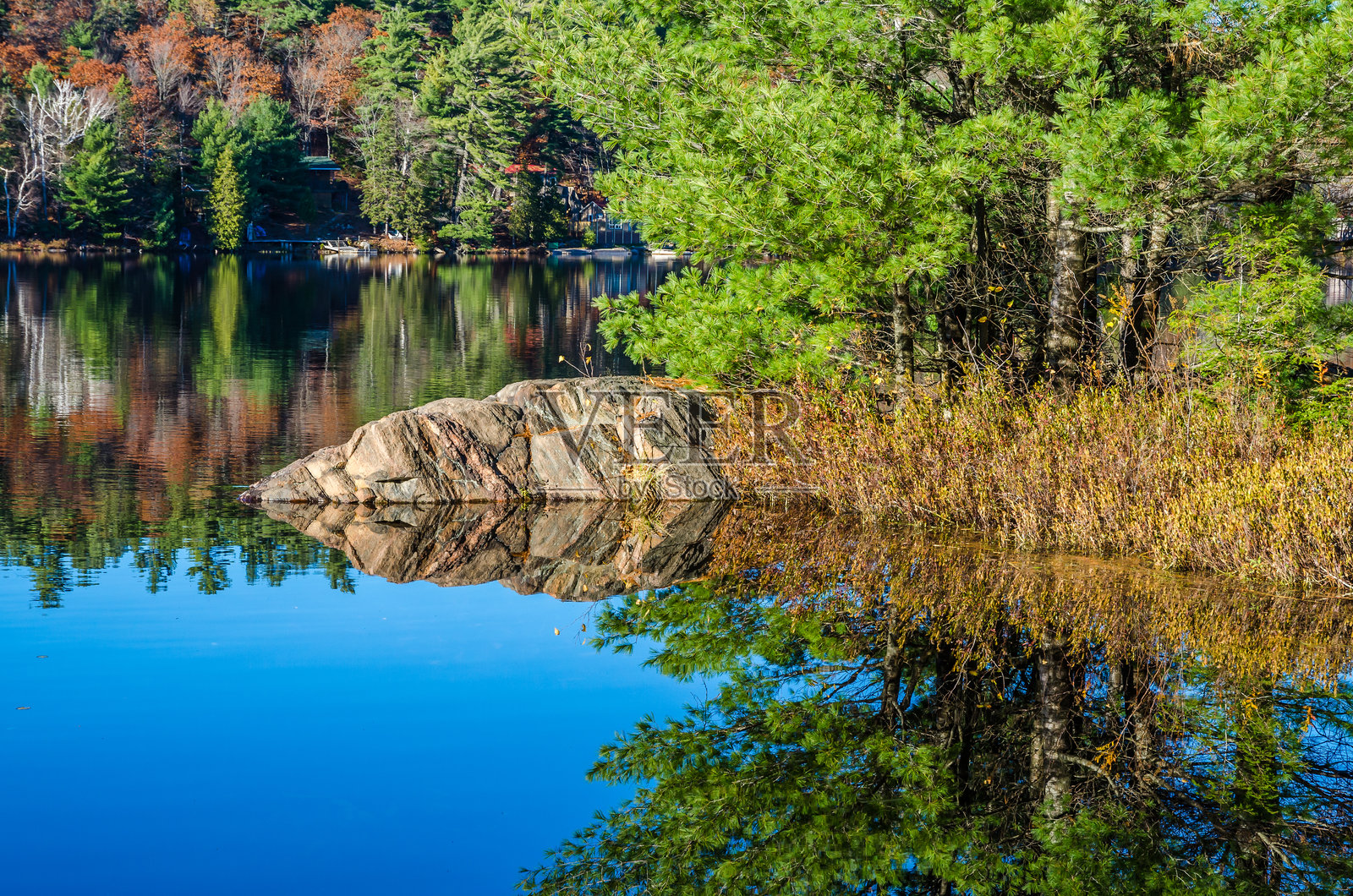 森林湖照片摄影图片