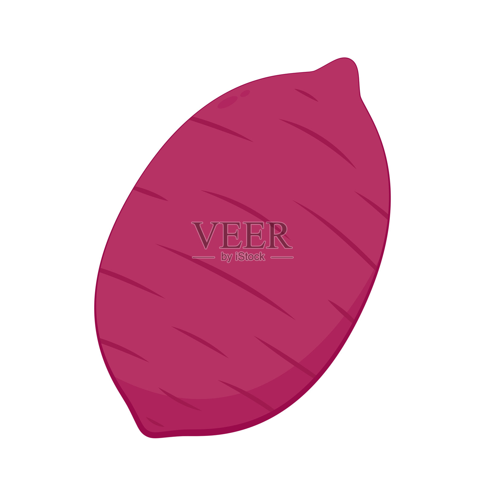 红薯。有机健康蔬菜。新鲜天然根茎。矢量卡通平面风格制作。烤红薯。日本红薯。插画图片素材