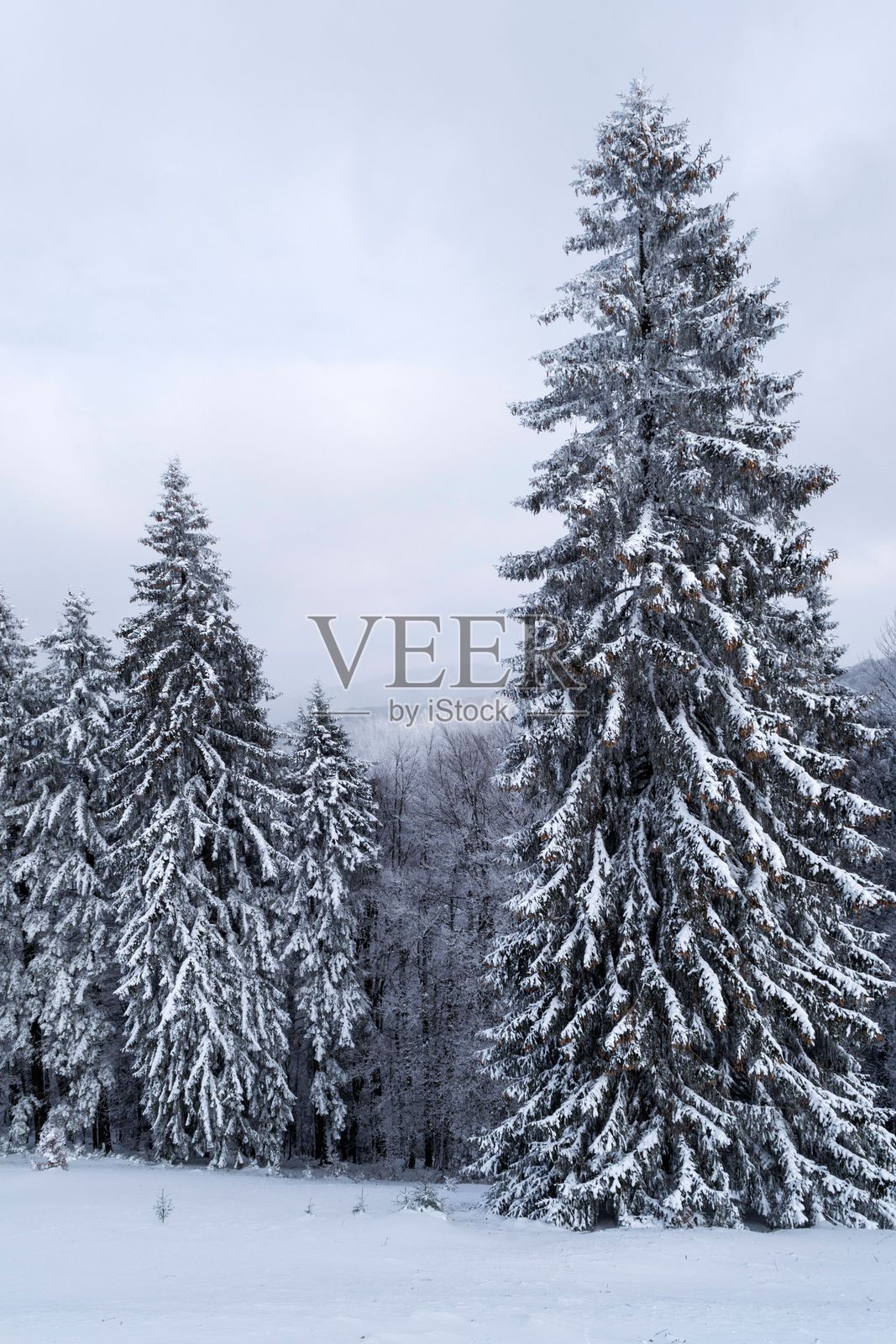 阿祖加与格雷库峰之间的冬季风景,朝向古拉·迪哈姆小屋照片摄影图片