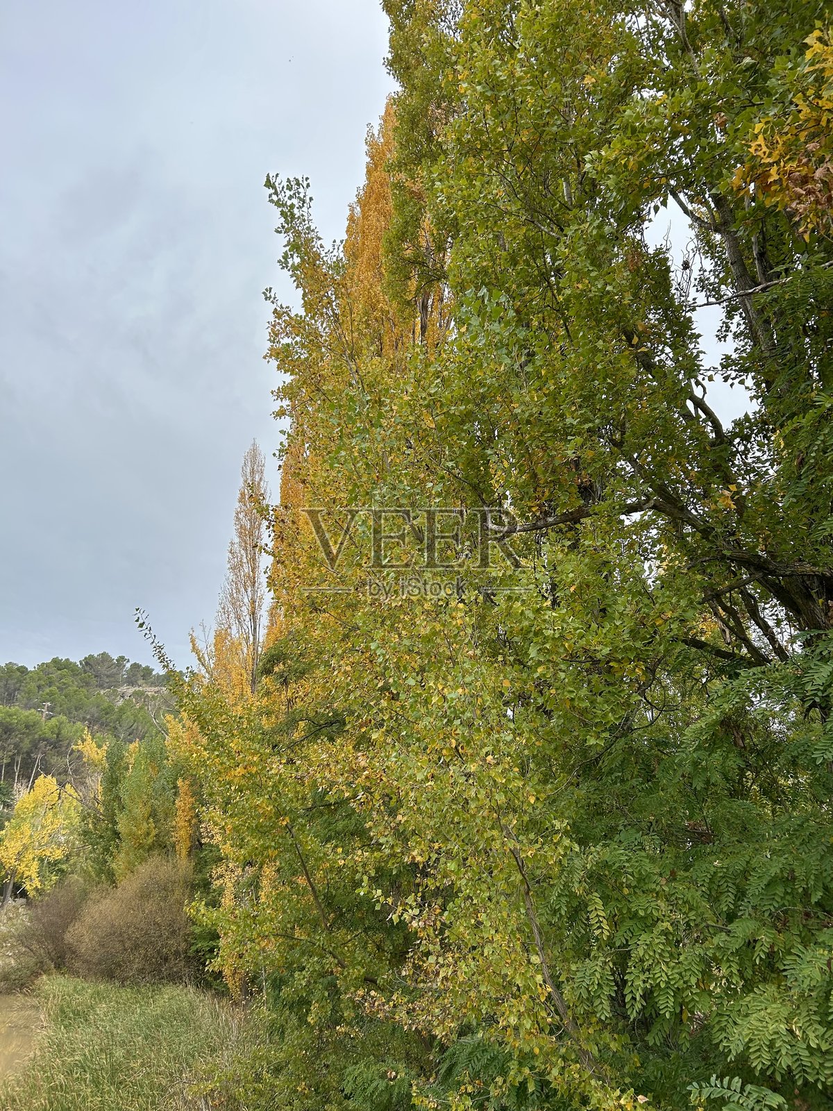 胡卡尔河穿过昆卡照片摄影图片