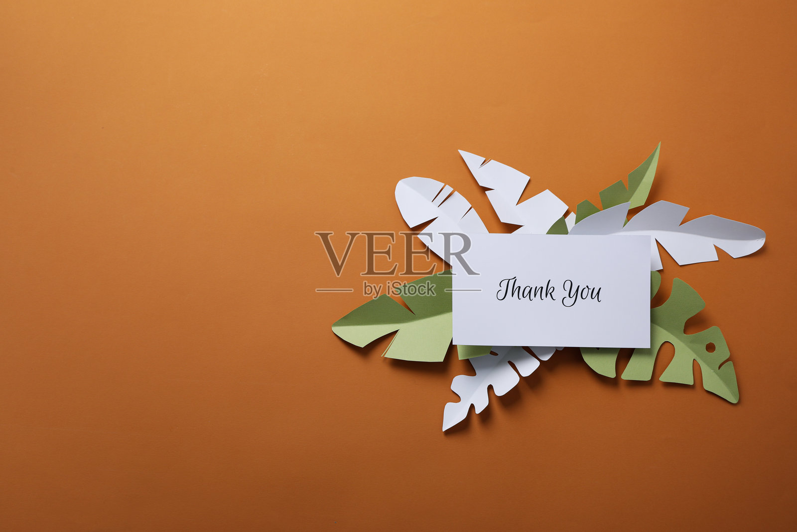 感谢的话语,感恩的概念,文本谢谢你照片摄影图片