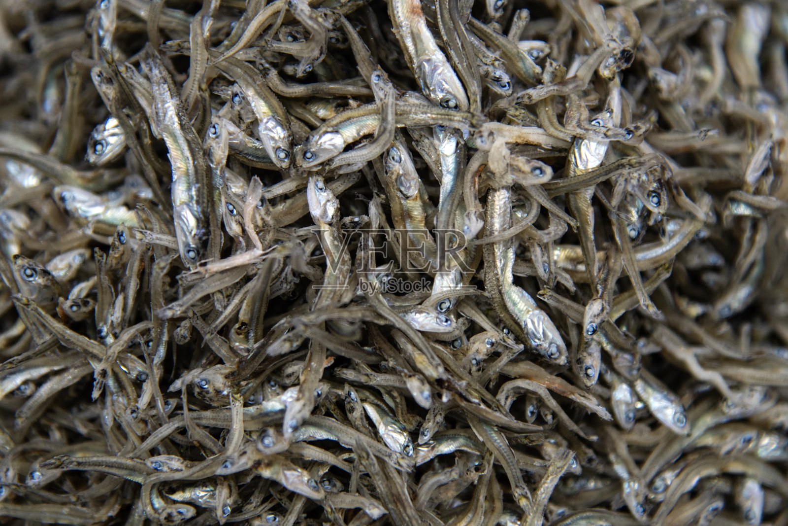 干鳀鱼照片摄影图片