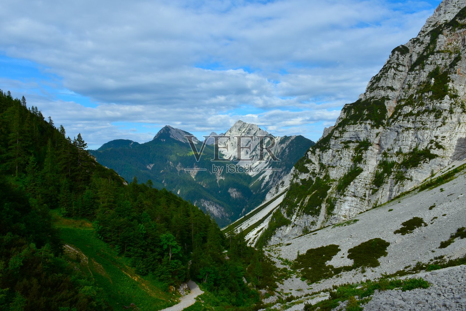 从斯洛文尼亚戈伦斯卡的泽莱尼察俯瞰卡拉万克山脉的科苏蒂察峰和维利基峰照片摄影图片