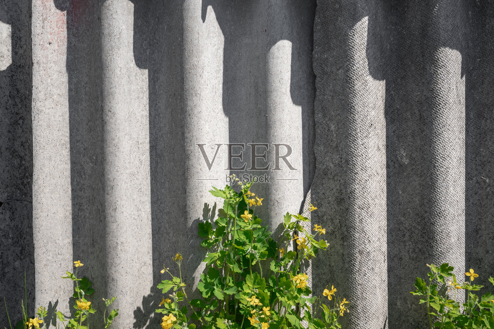 老旧且非常危险的石棉屋顶。环境中的石棉灰尘。石棉清除。照片摄影图片