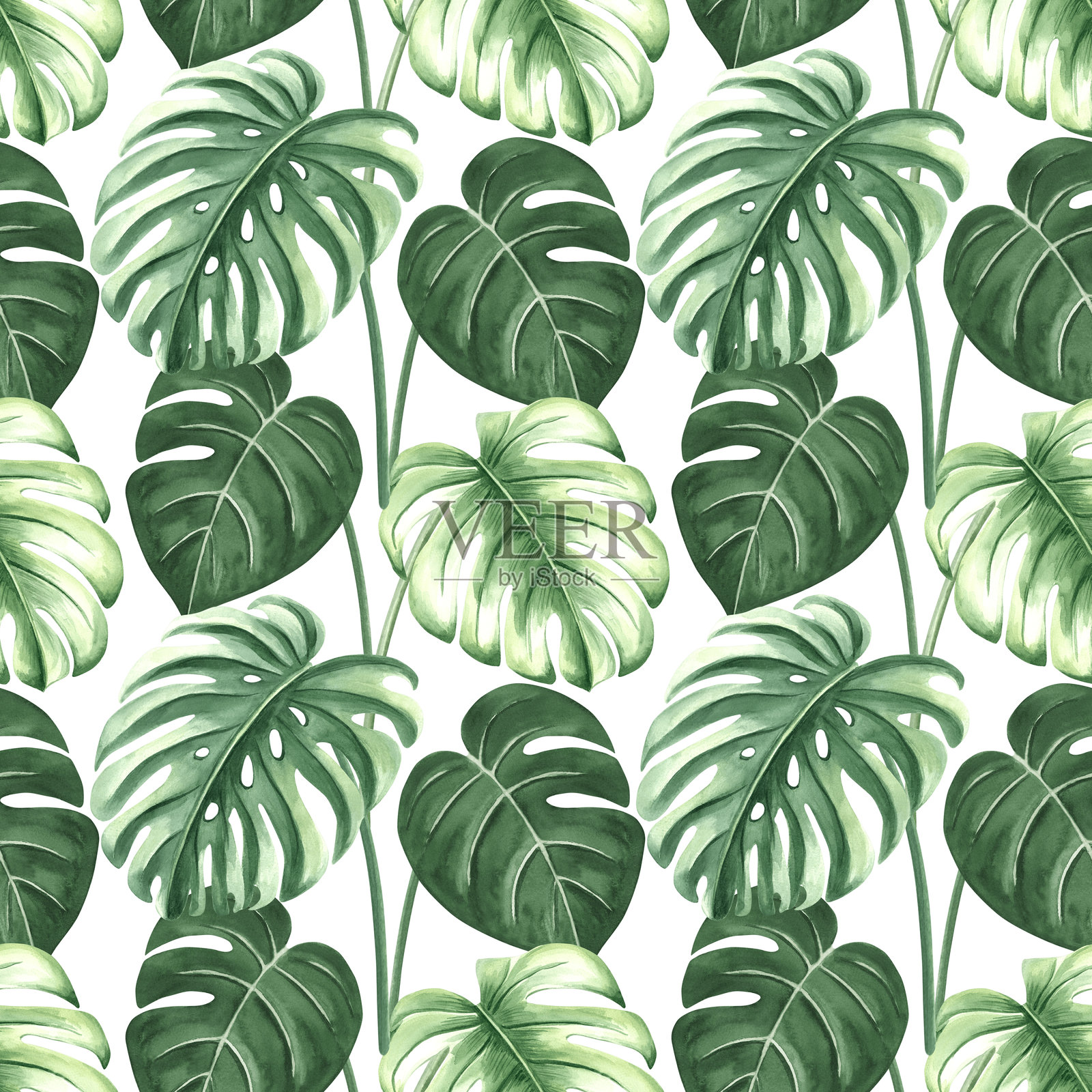 夏季雨林设计的水彩热带棕榈叶插图。单叶植物的植物无缝图案。手绘的丛林植物,采用逼真的风格。郁郁葱葱的异国植物背景。插画图片素材