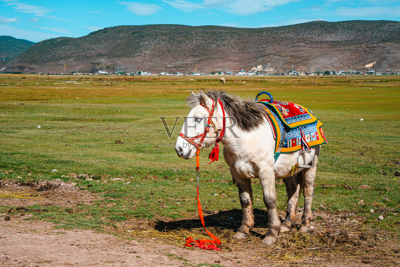 游客在美丽的纳帕海草原上骑马照片摄影图片