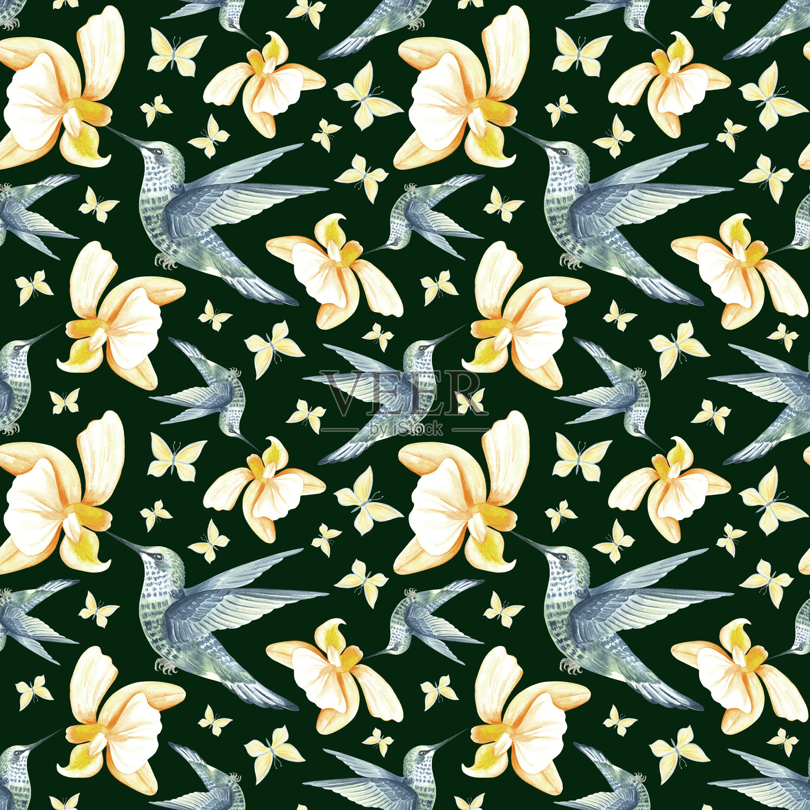 飞翔的蜂鸟与黄色兰花和蝴蝶的水彩插图。手绘的热带蝴蝶兰和鸟类无缝图案。用于丛林异域背景的植物模板。插画图片素材