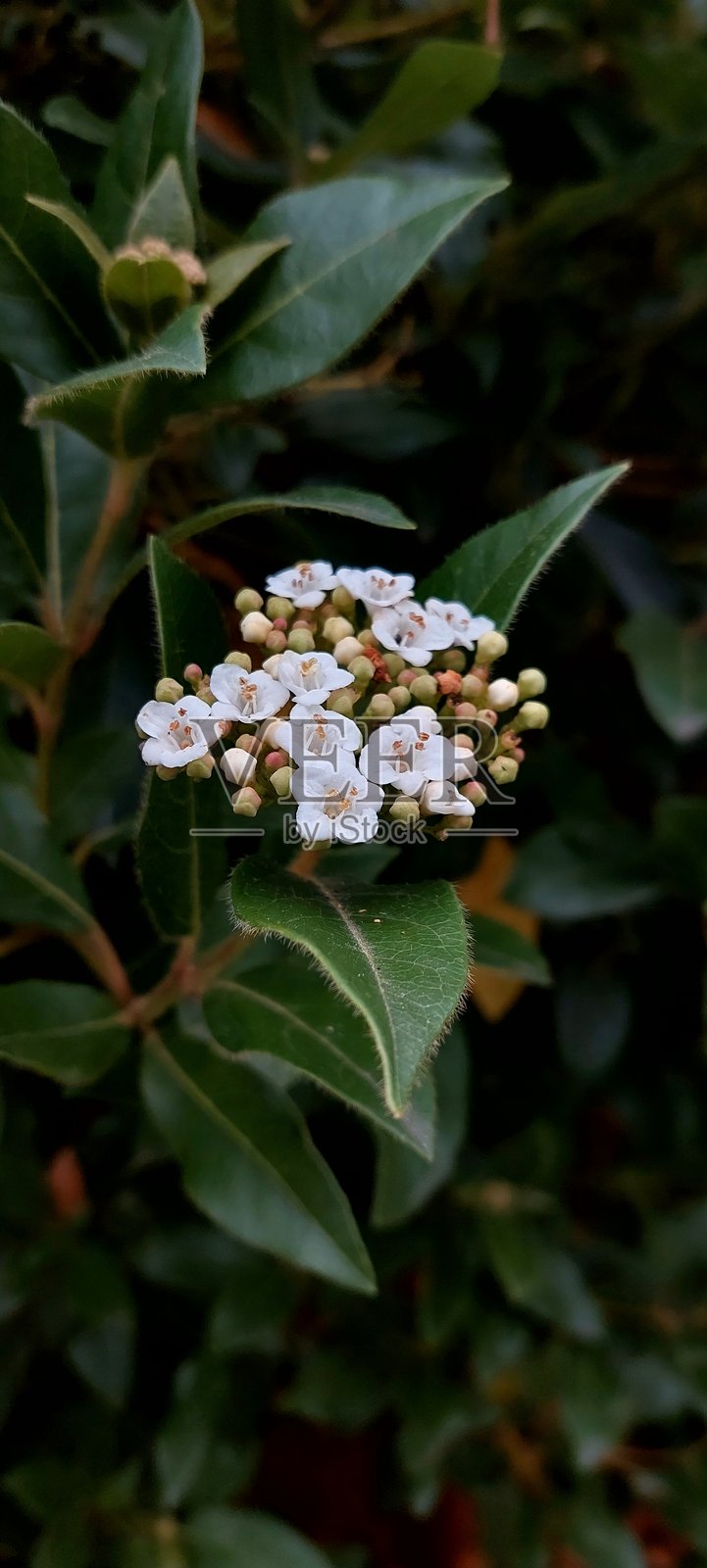 极简而富有表现力的视觉构图照片摄影图片