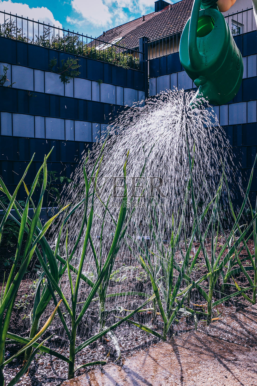 大量浇水的绿色花园照片摄影图片