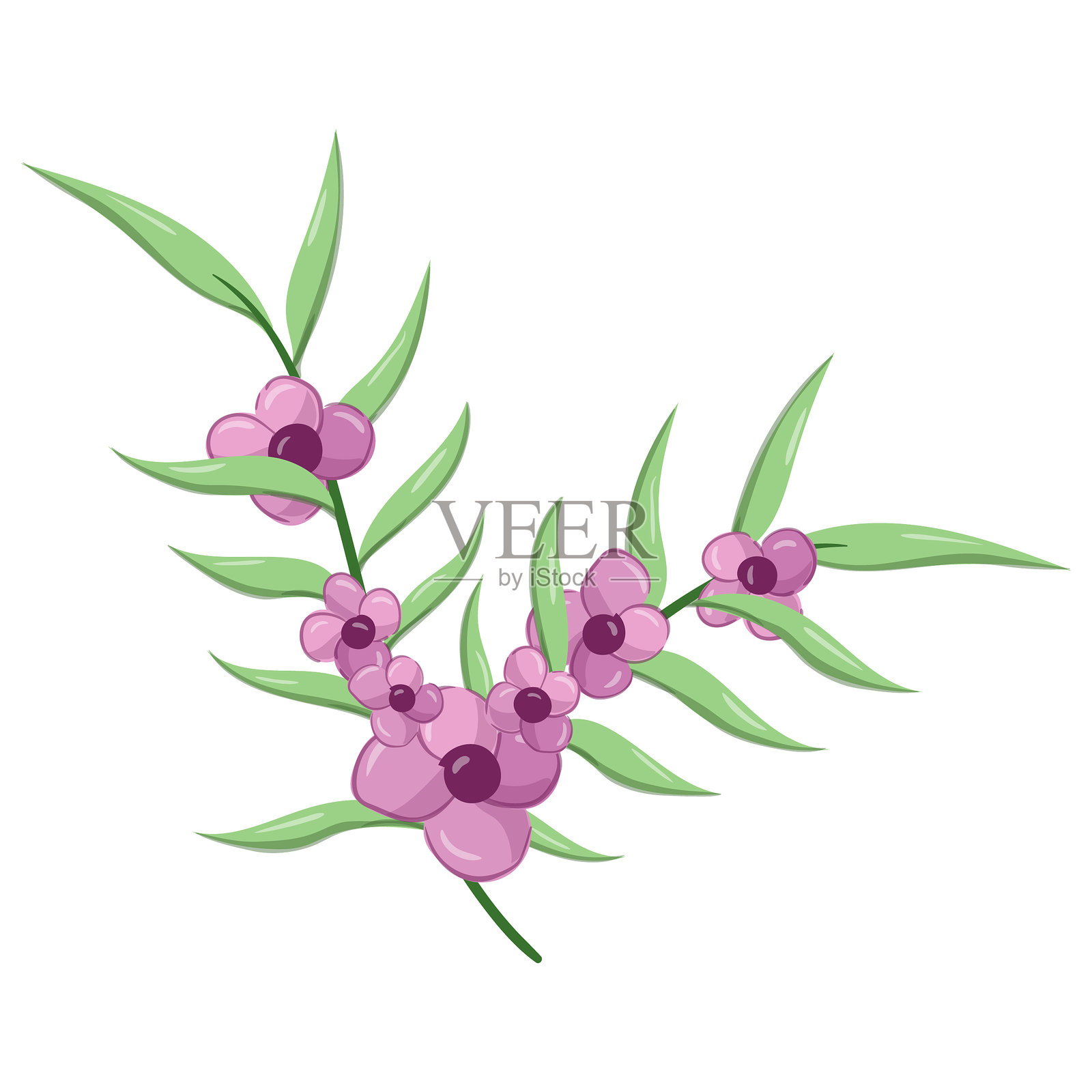 小花长叶杂草插画图片素材