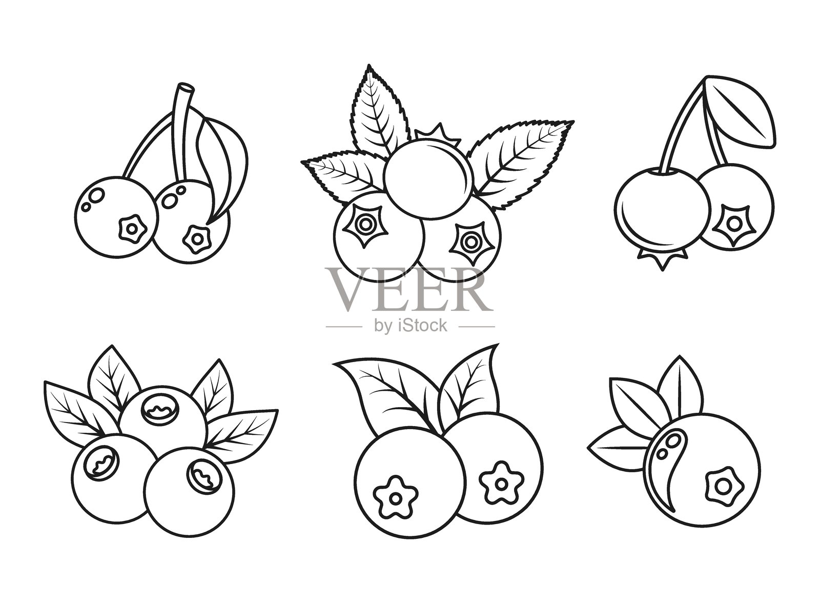 平面风格的蓝莓水果图标。孤立背景上的越橘矢量插图。甜美浆果标志商业概念。插画图片素材