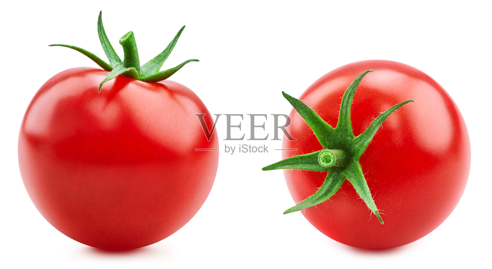 白色背景上的番茄照片摄影图片