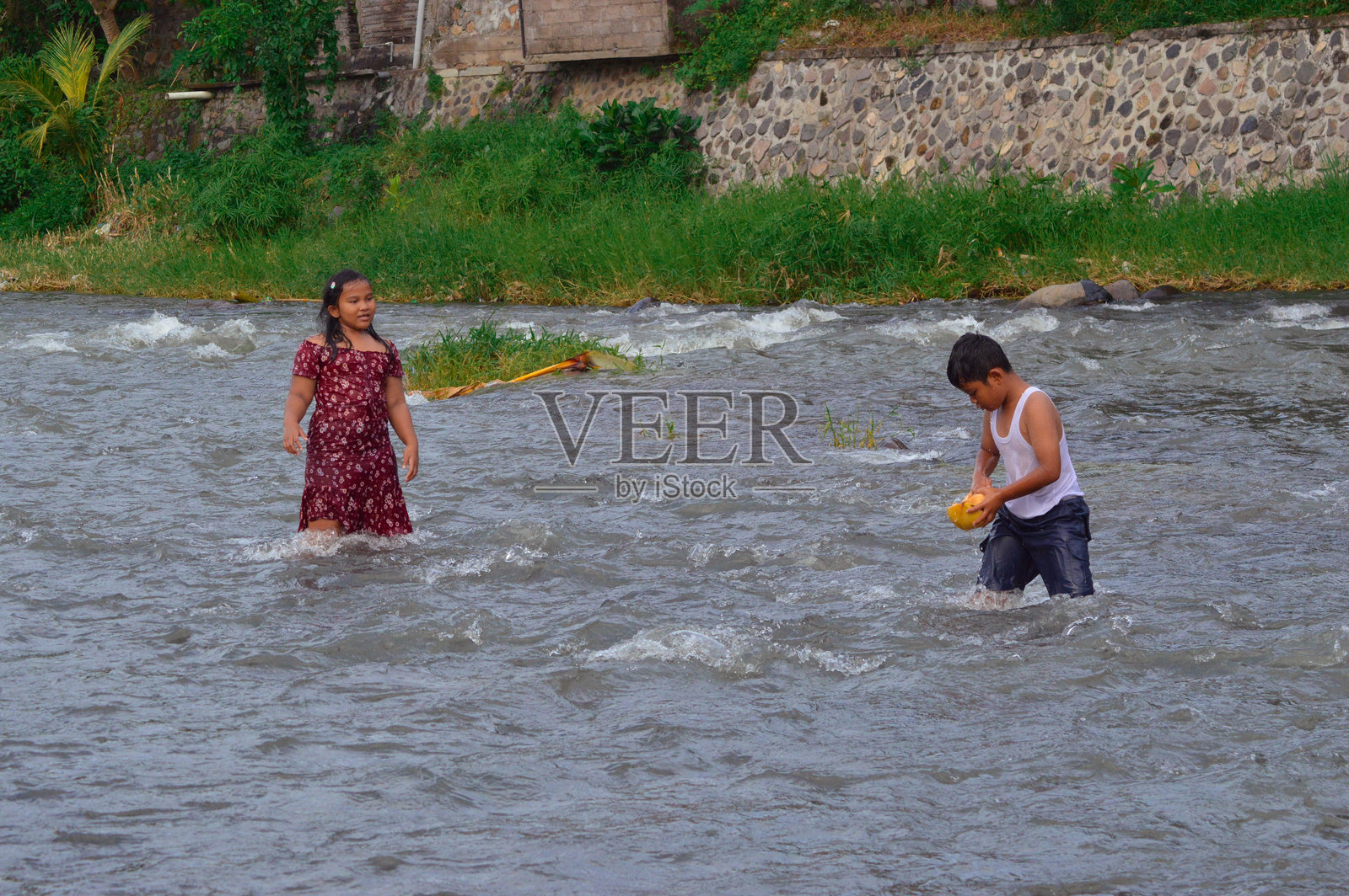 男孩抓住椰子,女孩在旁边观看。照片摄影图片
