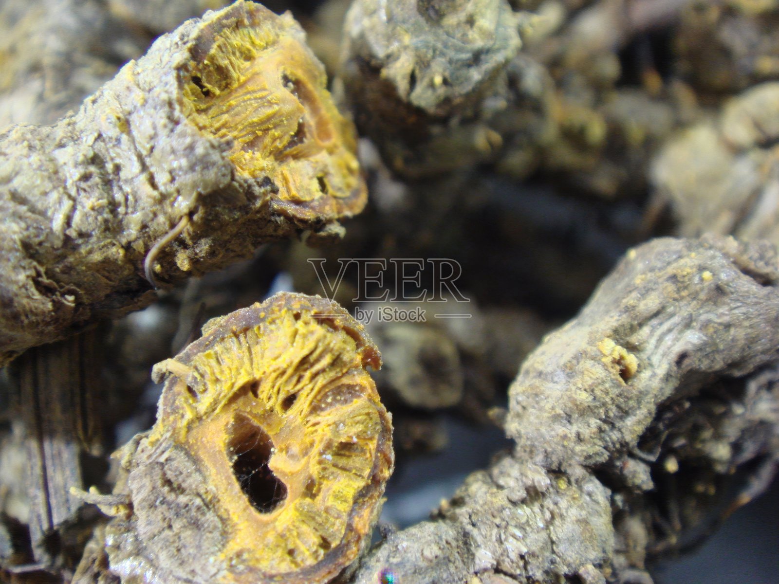 传统韩国草药黄连根切片干燥照片摄影图片