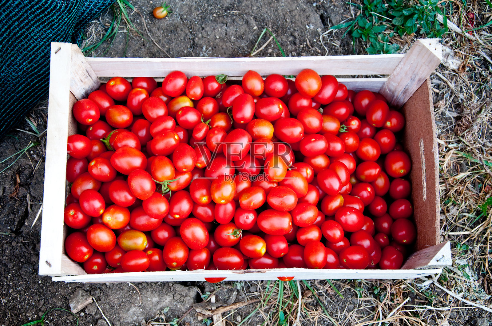 杂色木箱里装着刚采摘的番茄和新鲜切好的蔬菜照片摄影图片