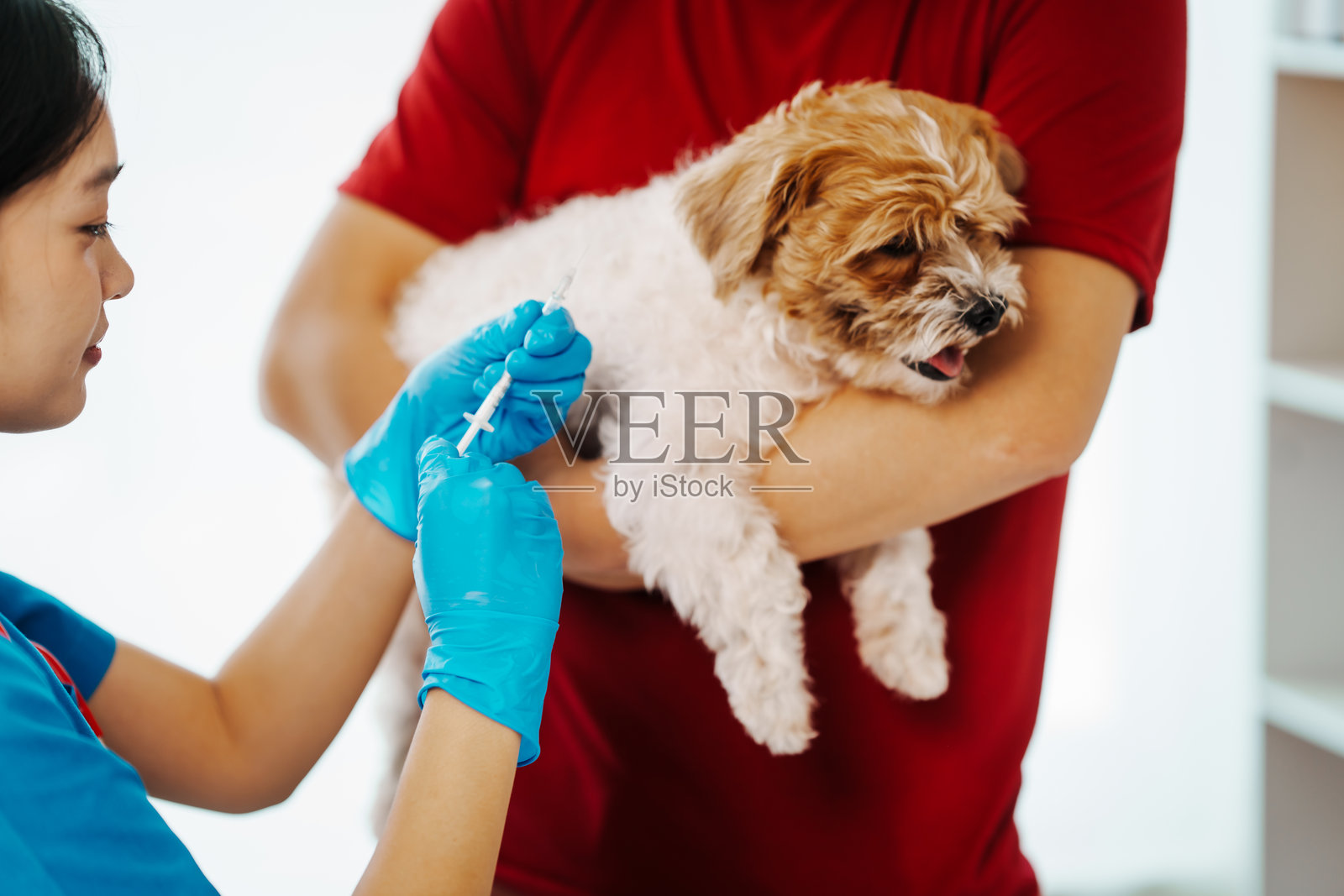 一名男子带着生病的小狗去医院的兽医处进行健康检查。兽医检查了小狗,并提供了必要的药物以帮助其恢复。照片摄影图片