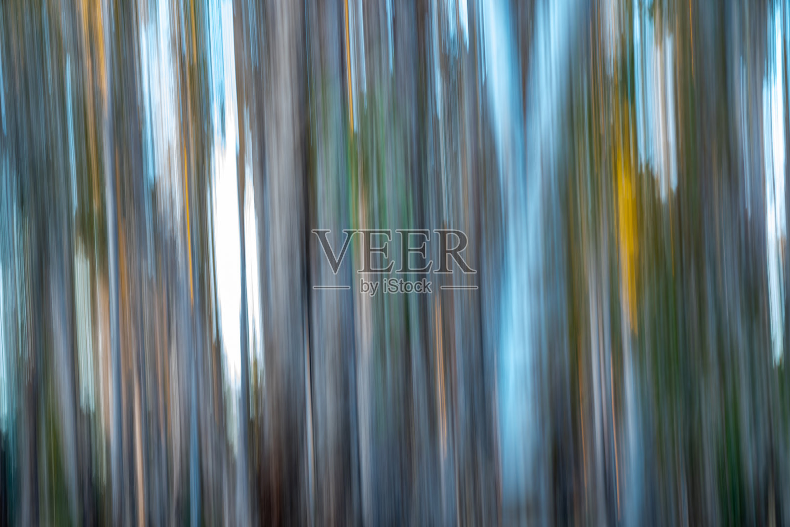 西澳大利亚丛林和森林的印象派图像,适用于概念或背景使用照片摄影图片