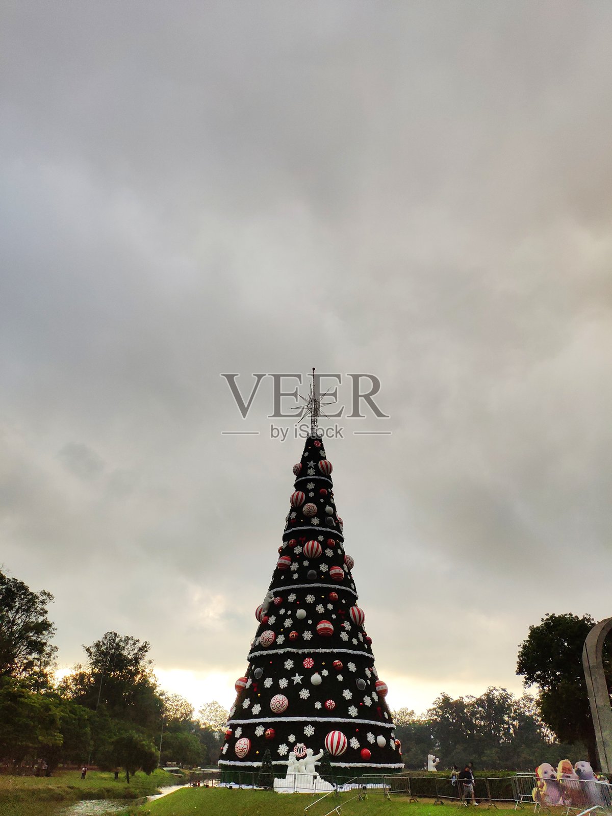 圣诞树照片摄影图片