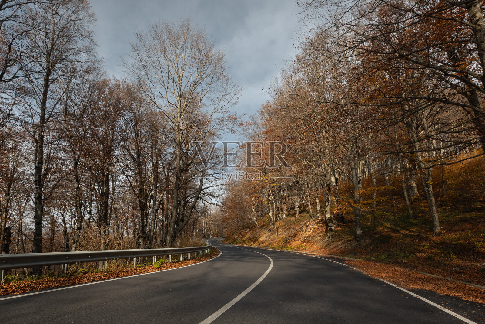 秋季森林中的小路照片摄影图片