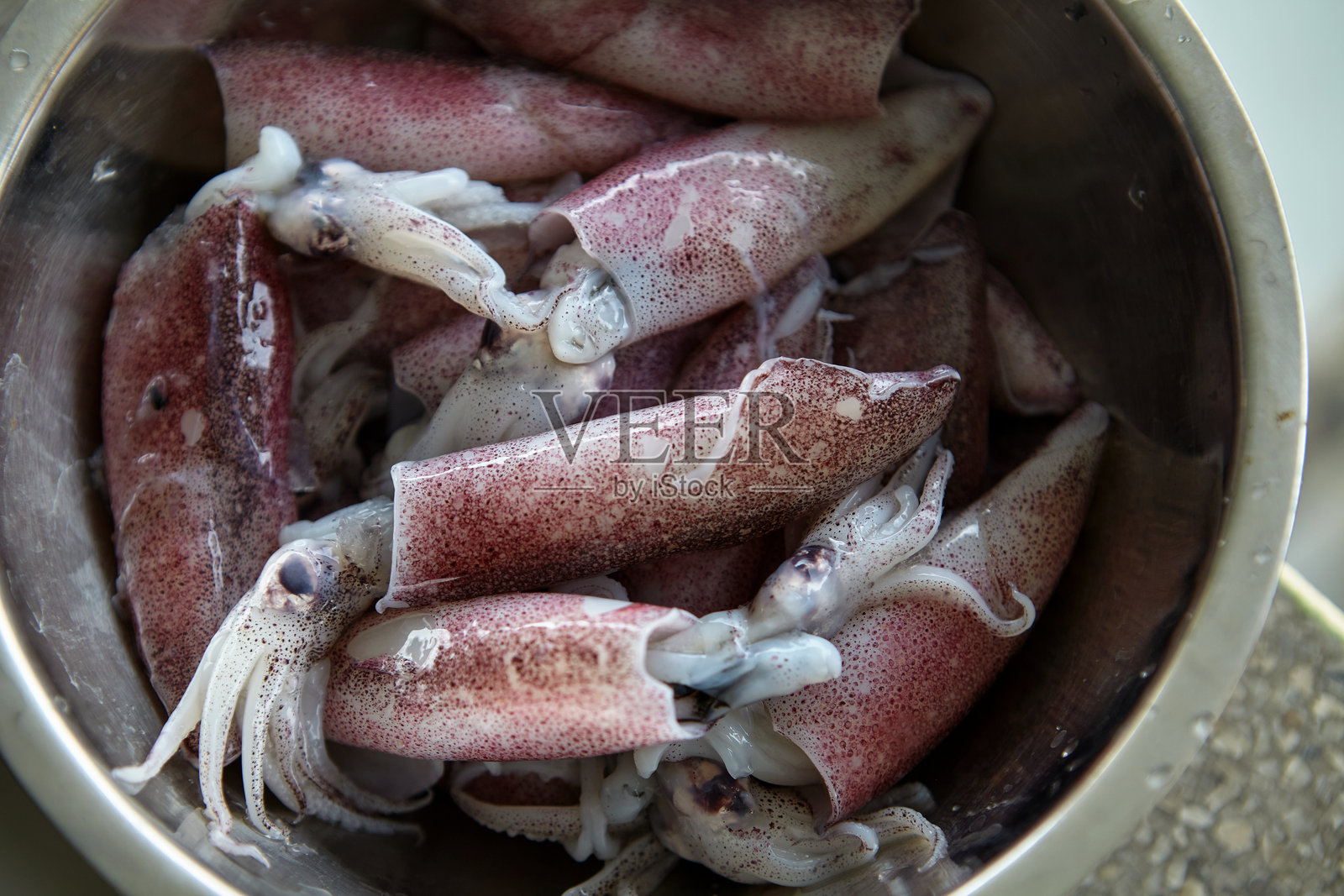 新鲜鱿鱼在碗中准备中照片摄影图片