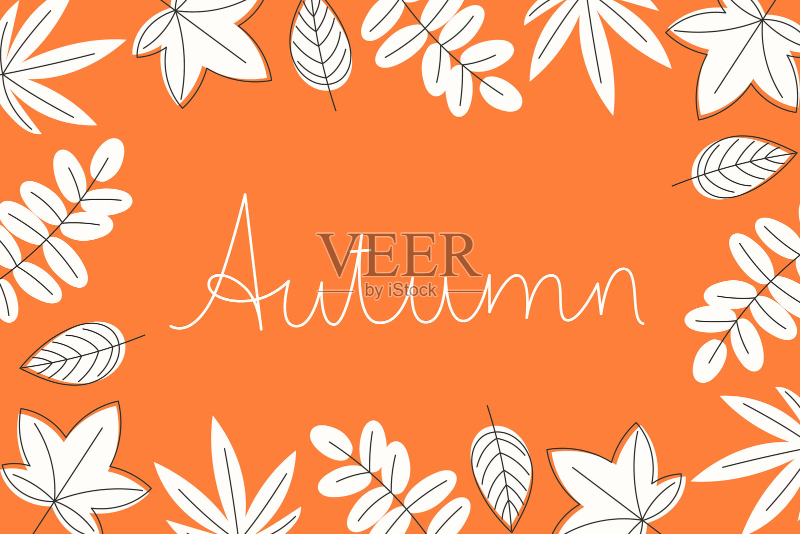 秋季卡片字母设计,白色叶子框架,明亮的橙色背景,扁平风格插画图片素材