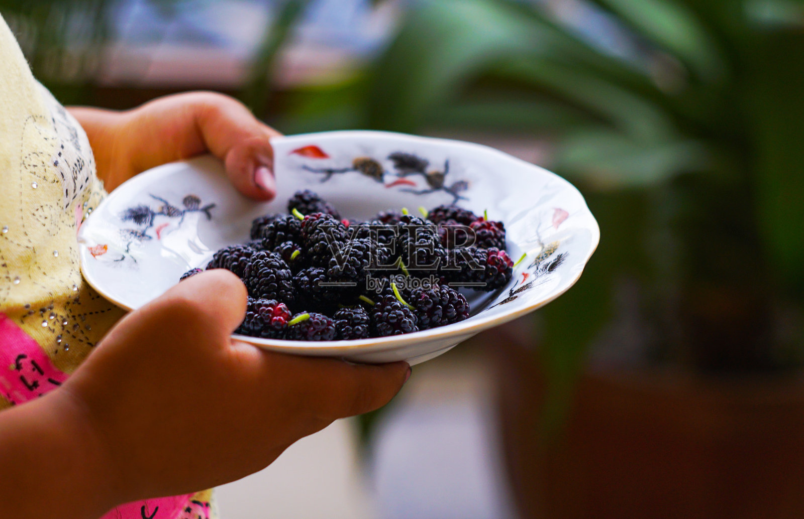女孩手中捧着一碗桑葚照片摄影图片