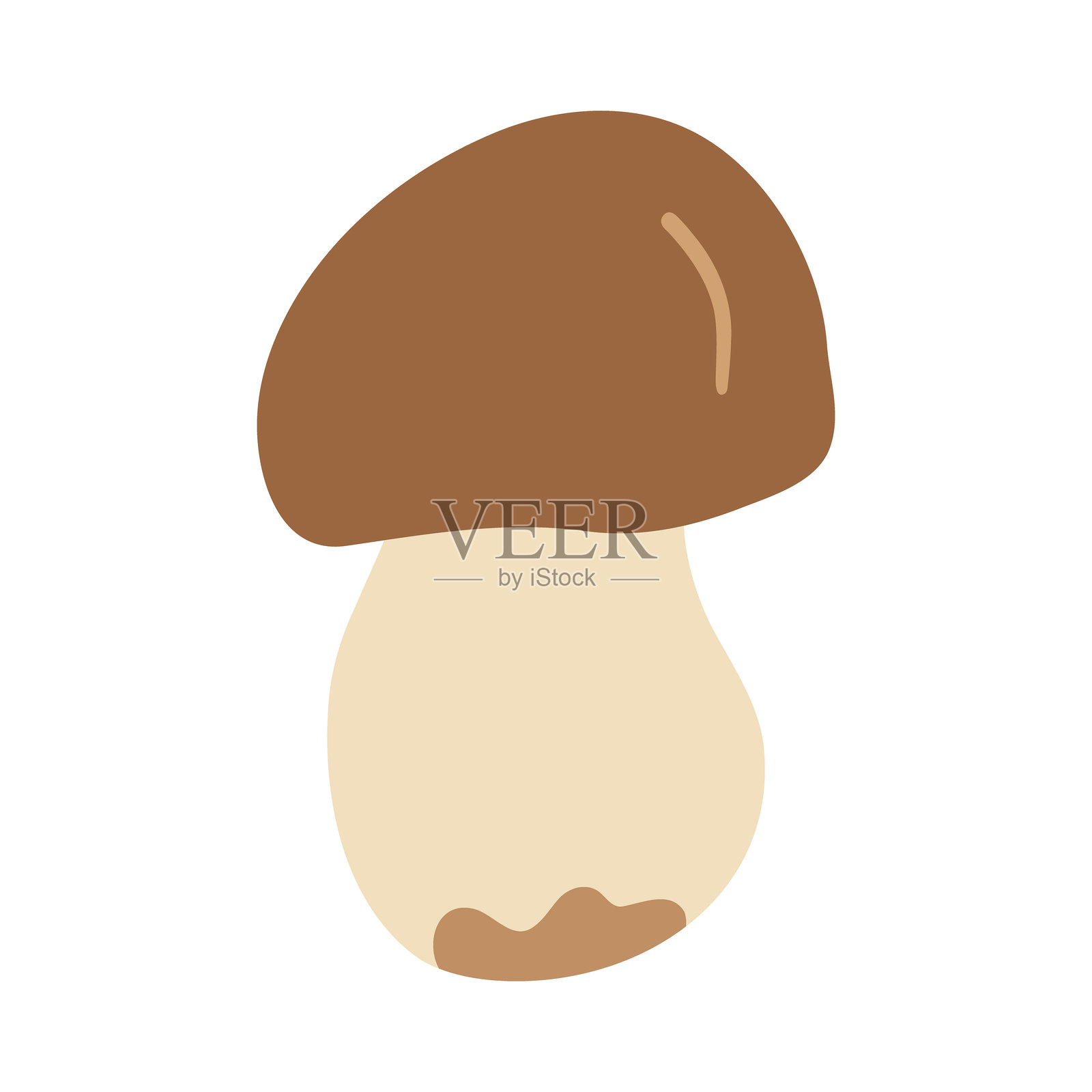 大褐帽和粗白茎的牛肝菌。手绘平面矢量插图插画图片素材