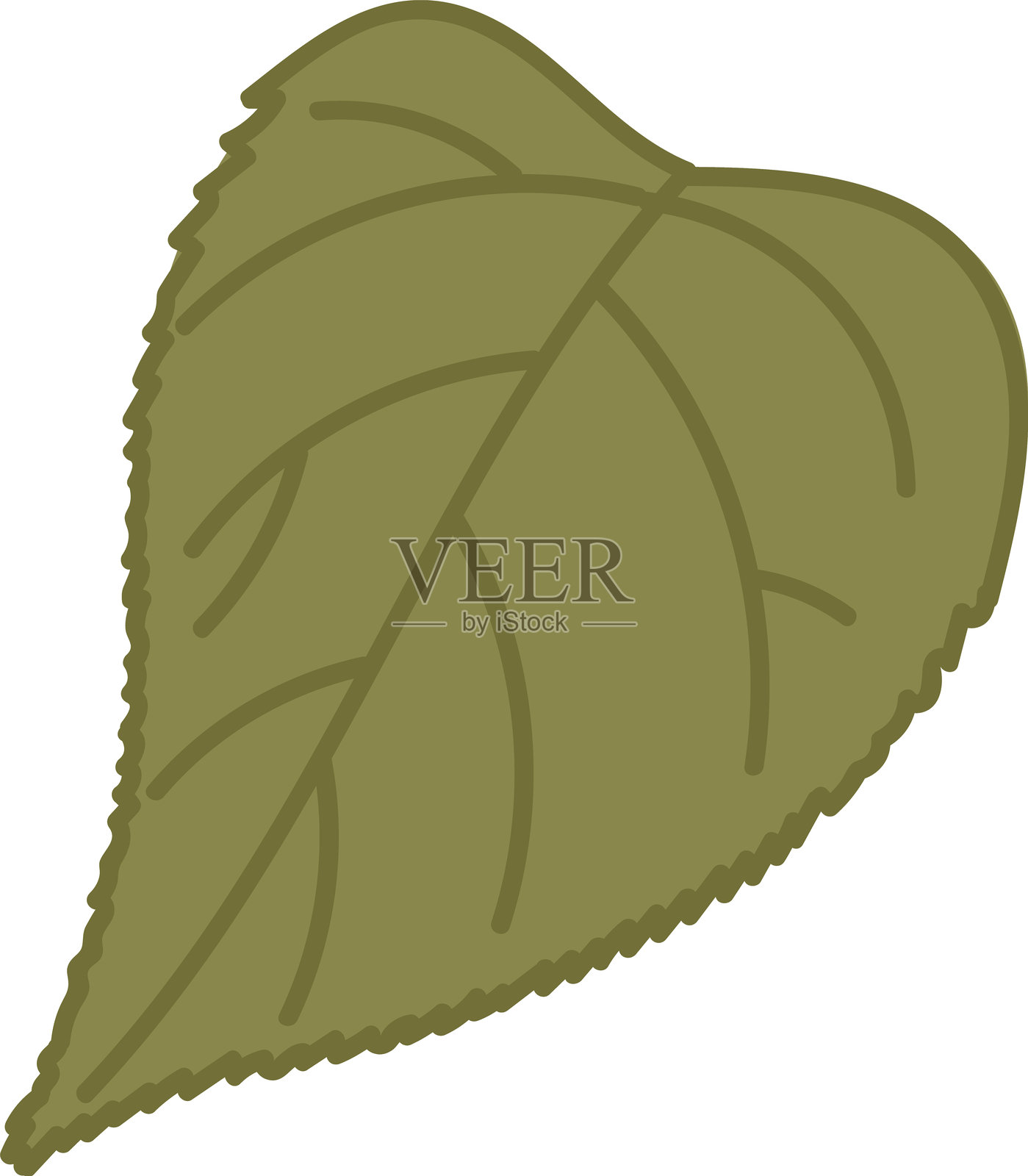 带脉络的详细叶子插画图片素材