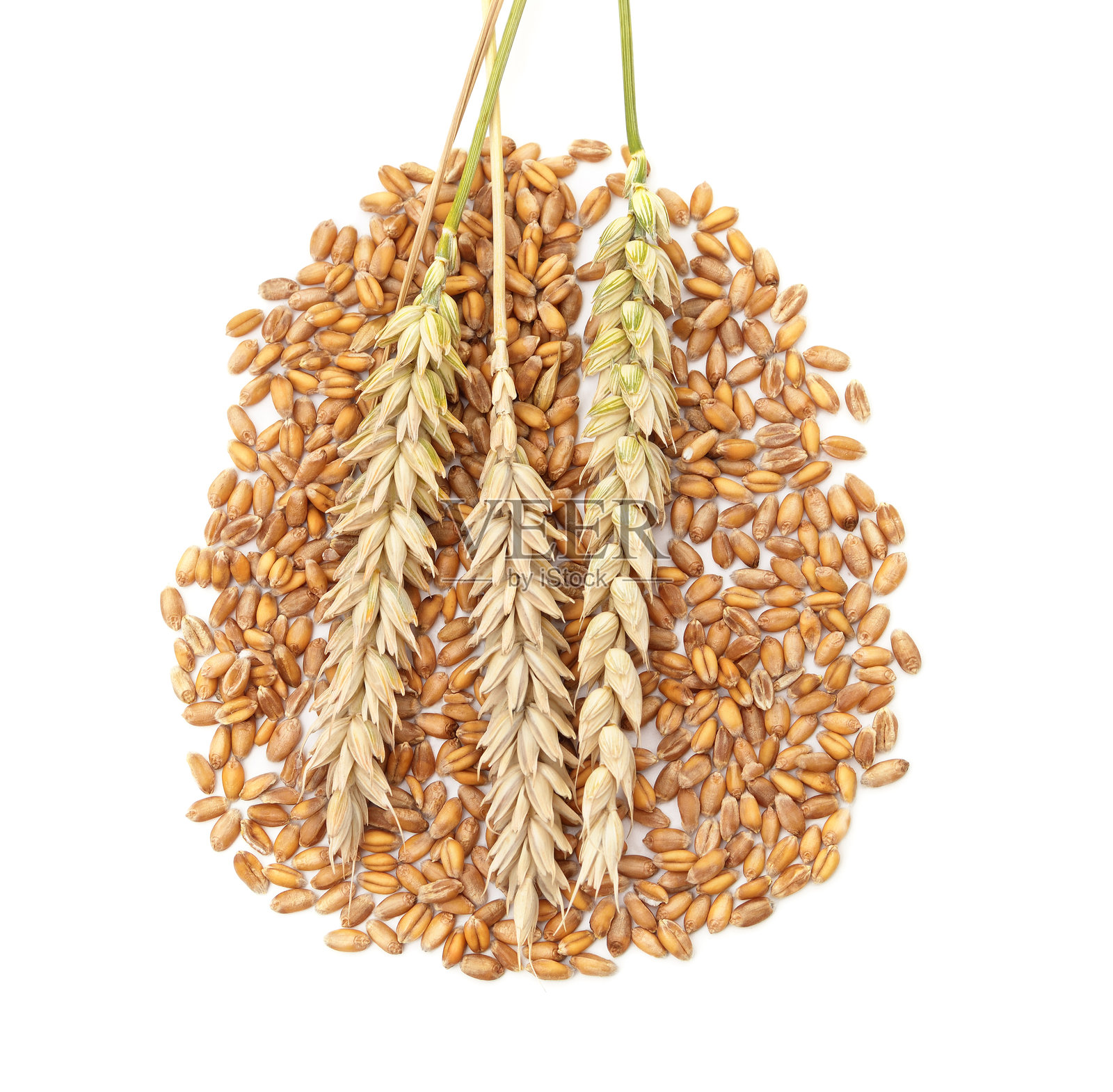 麦穗躺在谷物上。照片摄影图片