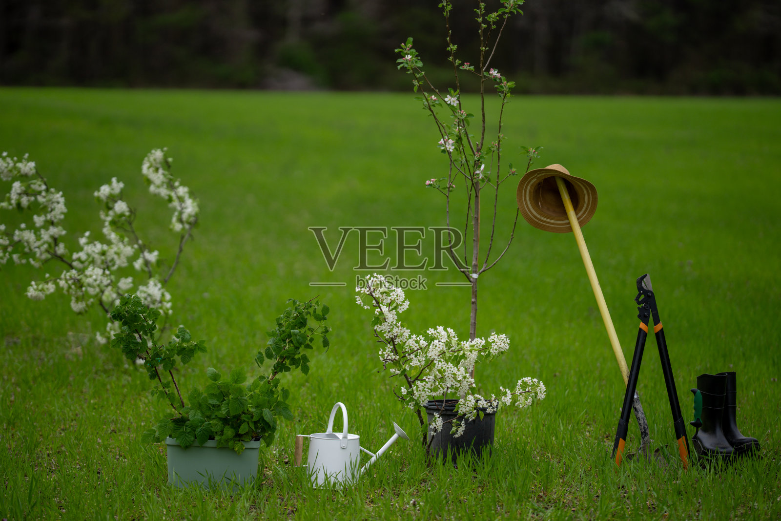 春季园艺工具。春季的园艺工具。春季背景下的种植工具。园艺铲和浇水壶。春季花园设备。春季种植工具。草地上的园艺工具。照片摄影图片