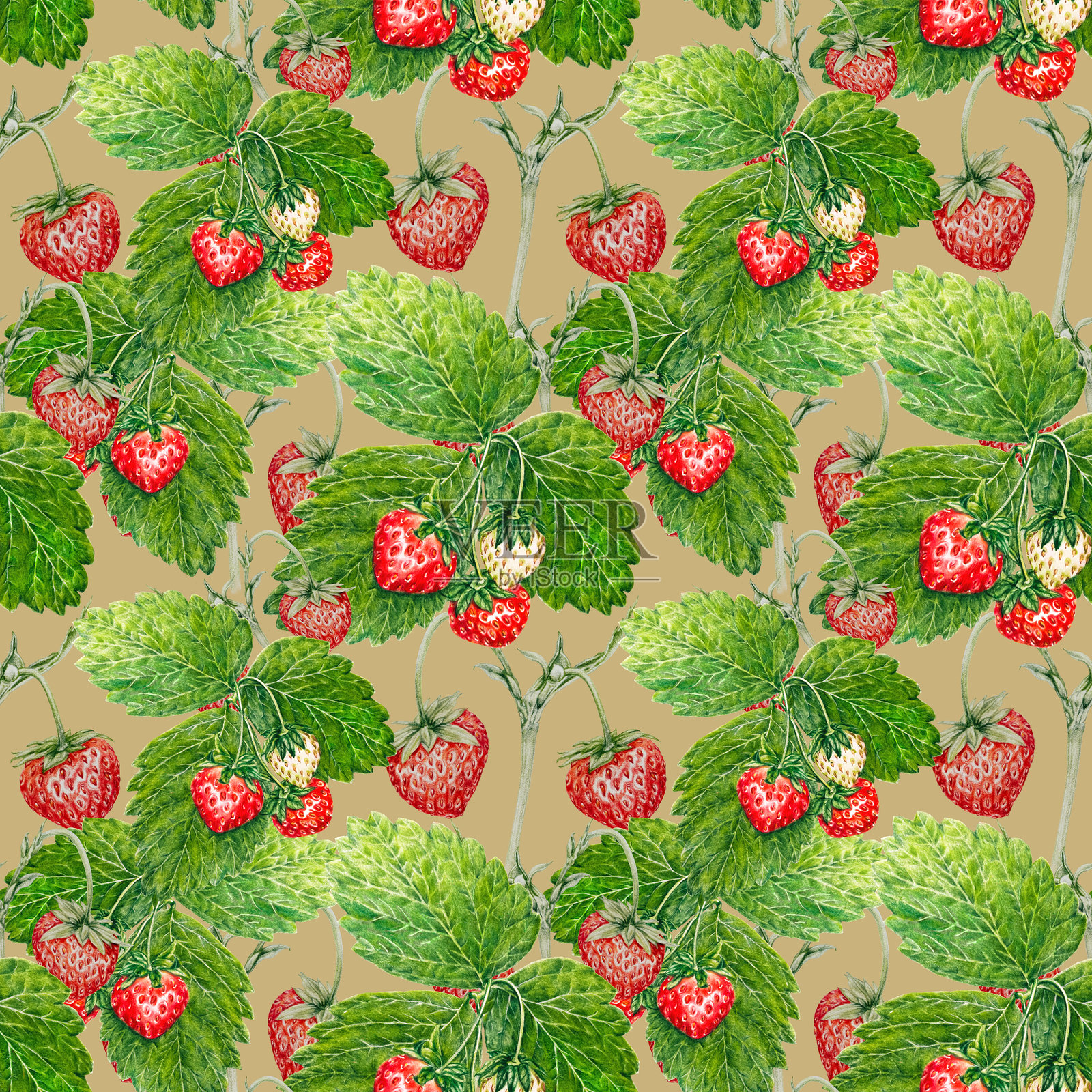 无缝图案,手绘彩色铅笔草莓插画图片素材