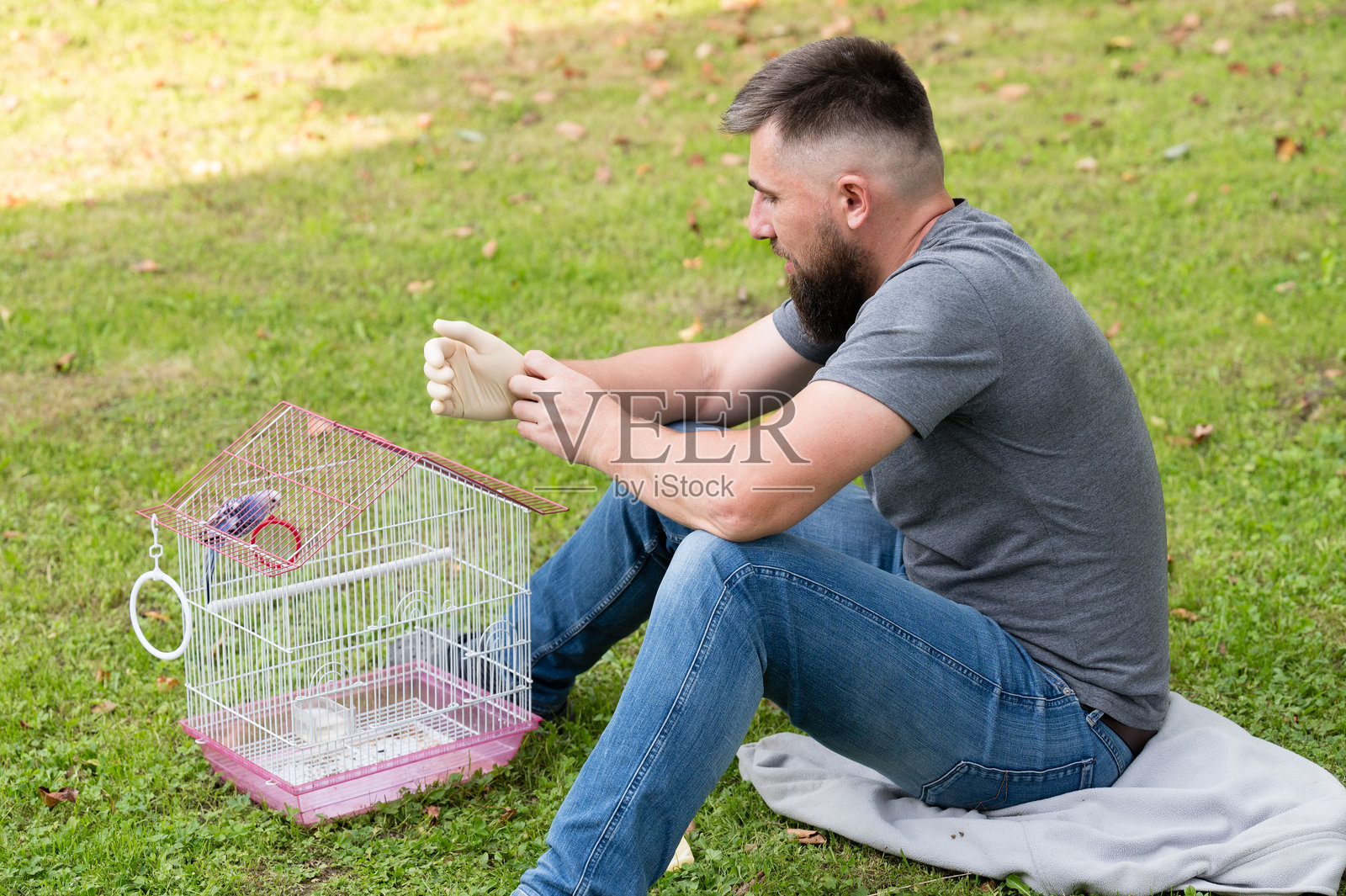男人在户外轻柔地照顾一只小鸟,享受着动物护理的宁静时刻。照片摄影图片