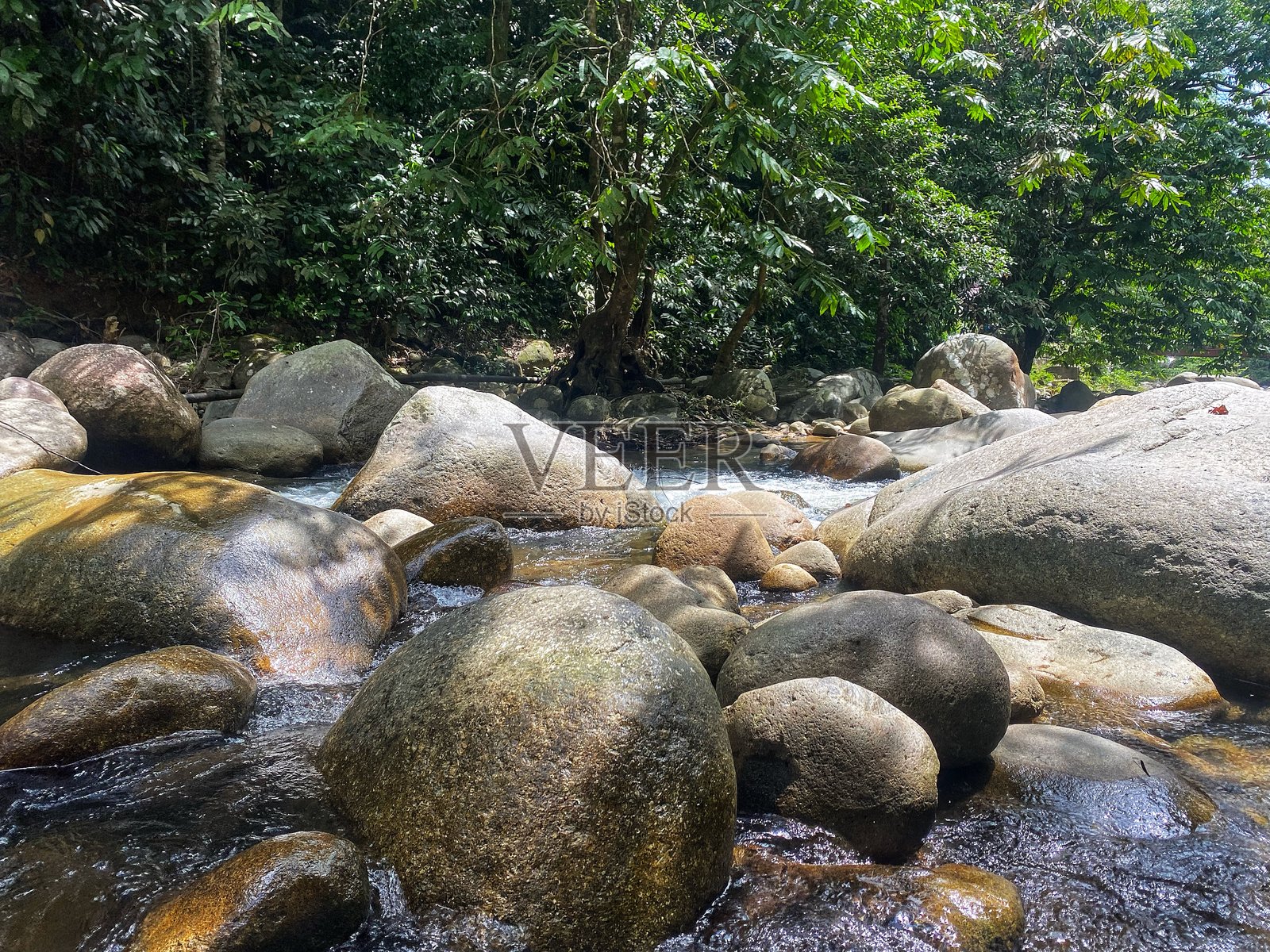 清澈的森林溪流与大石头。照片摄影图片