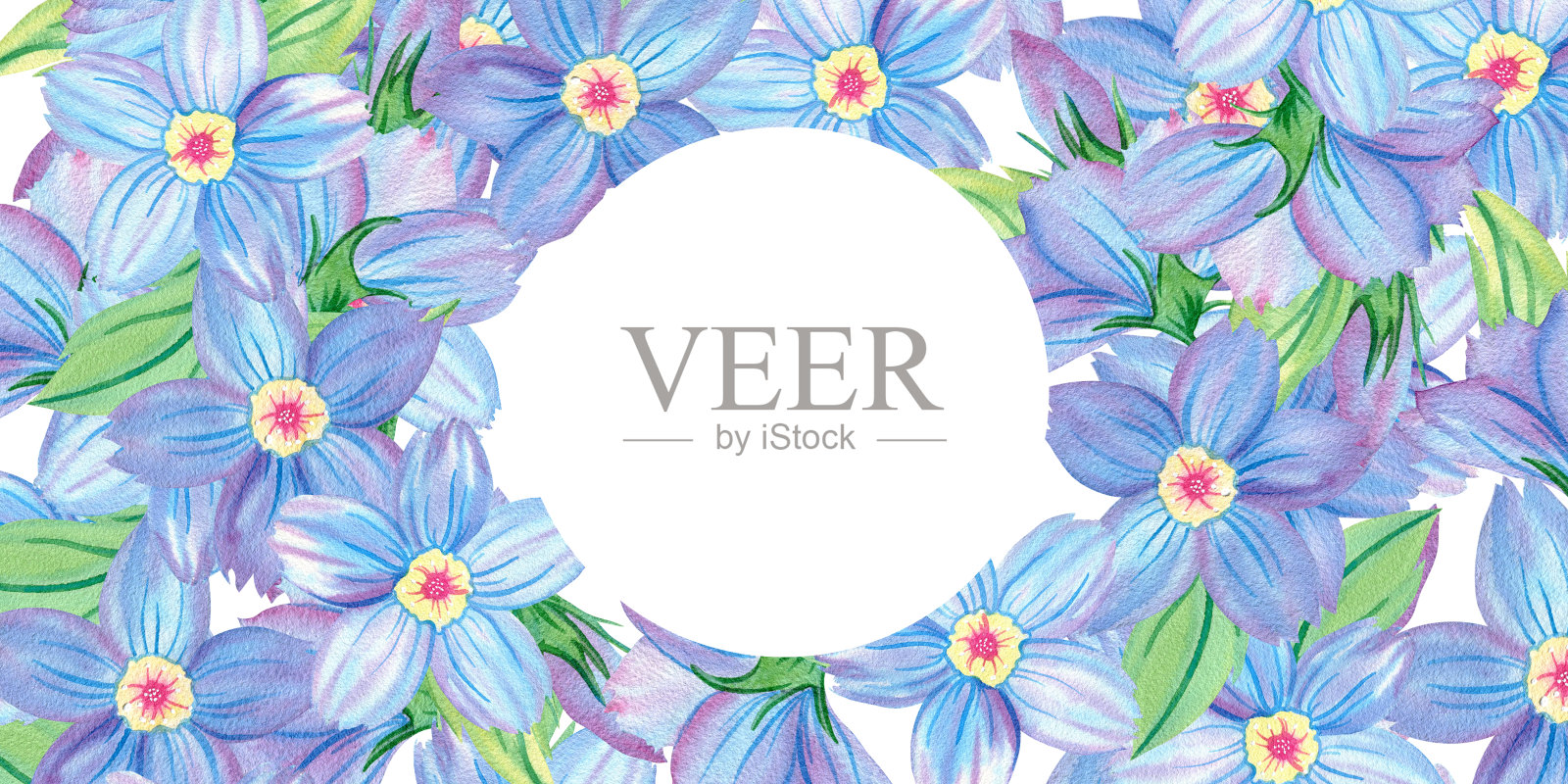 横向框架,圆形文本空间,方形背景,勿忘我花的模板,花蕾,露珠,叶子,叶片,Myosotis,留白,花卉插图。手绘水彩抽象画。插画图片素材