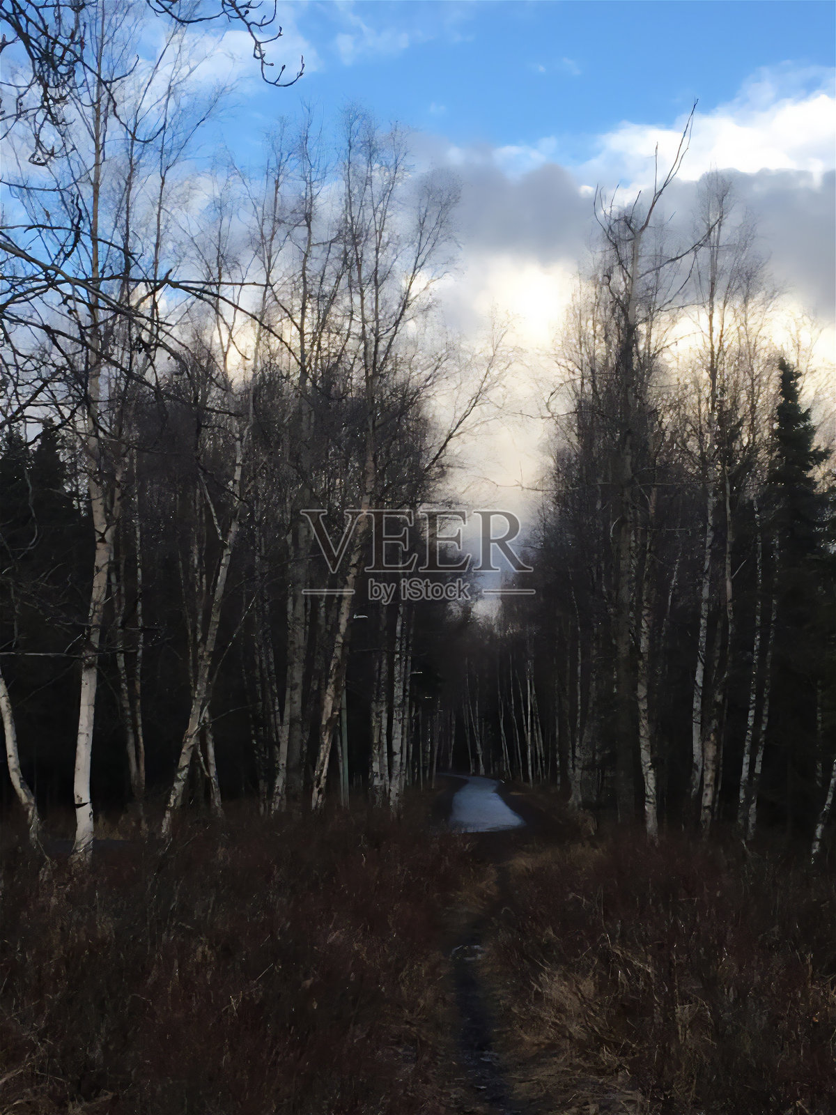 自然旅行照片摄影图片