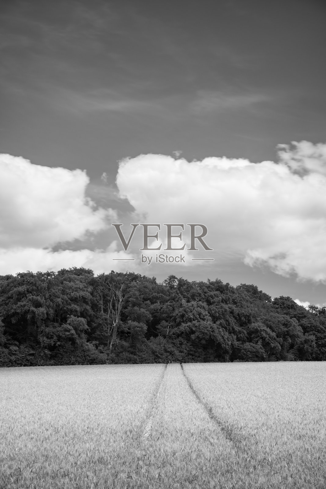 老阿默舍姆周围的巴克inghamshire农田照片摄影图片