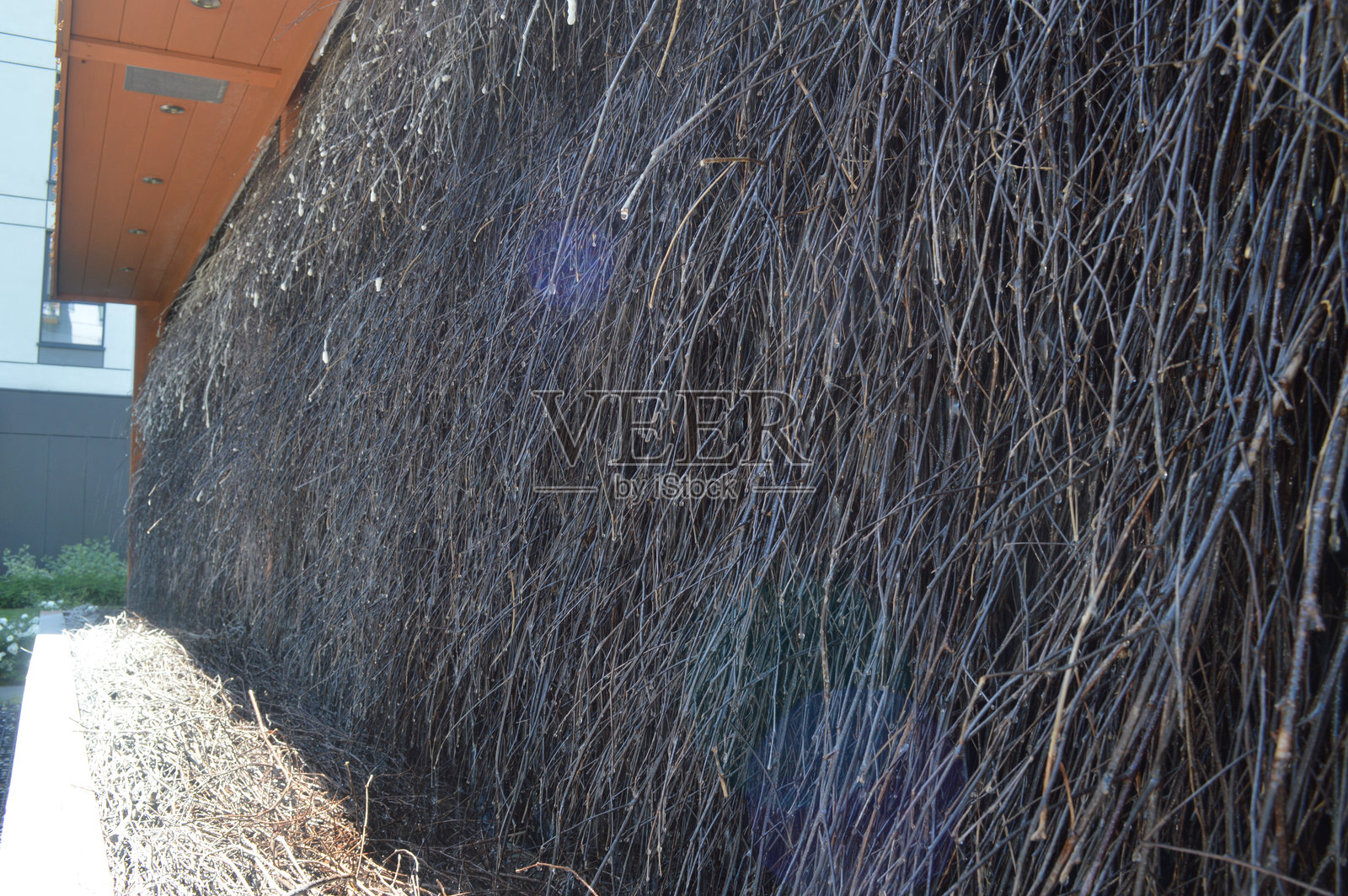 盐水毕业塔:城市健康与养生圣地照片摄影图片