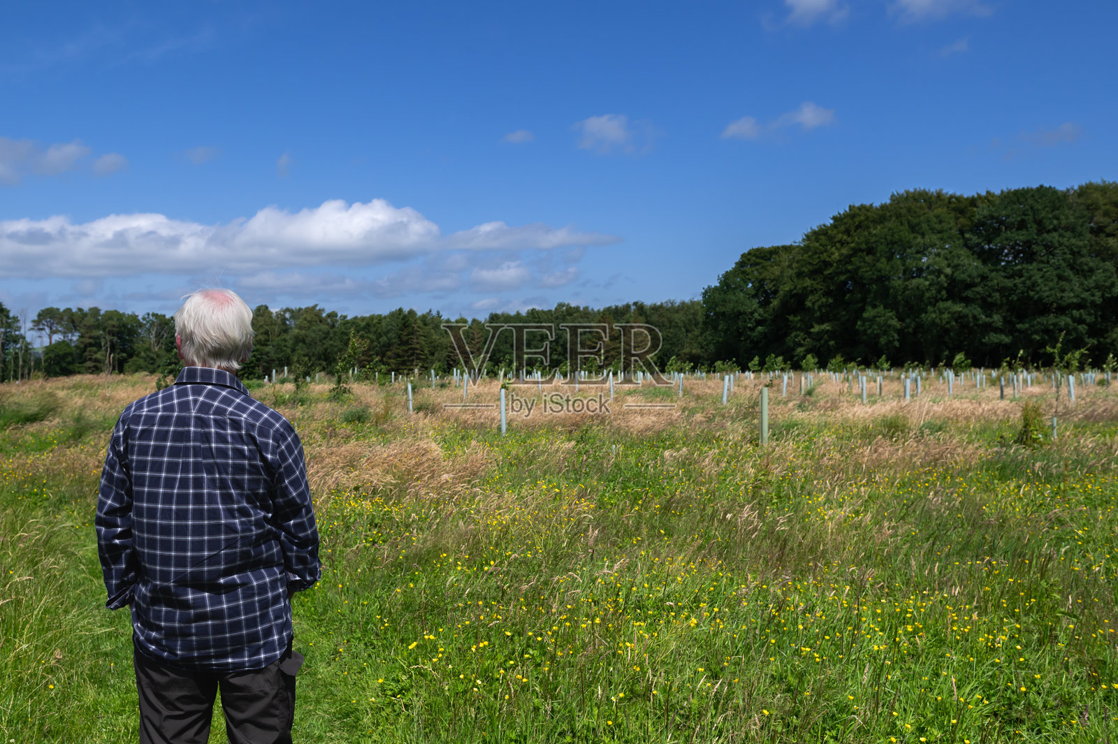 退休男子站在一片荒地上照片摄影图片