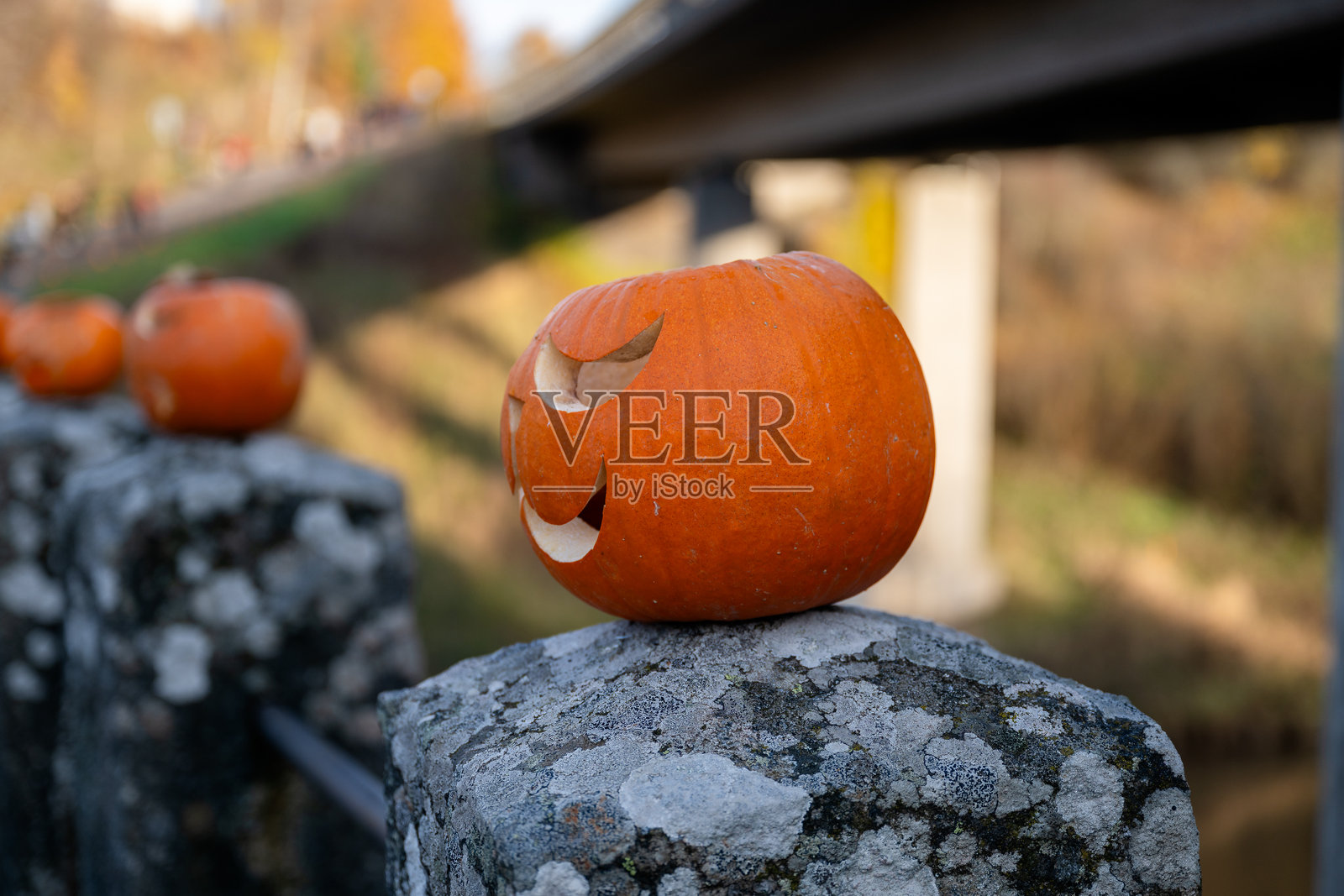 秋季风景中,桥边石围栏上的雕刻万圣节南瓜照片摄影图片