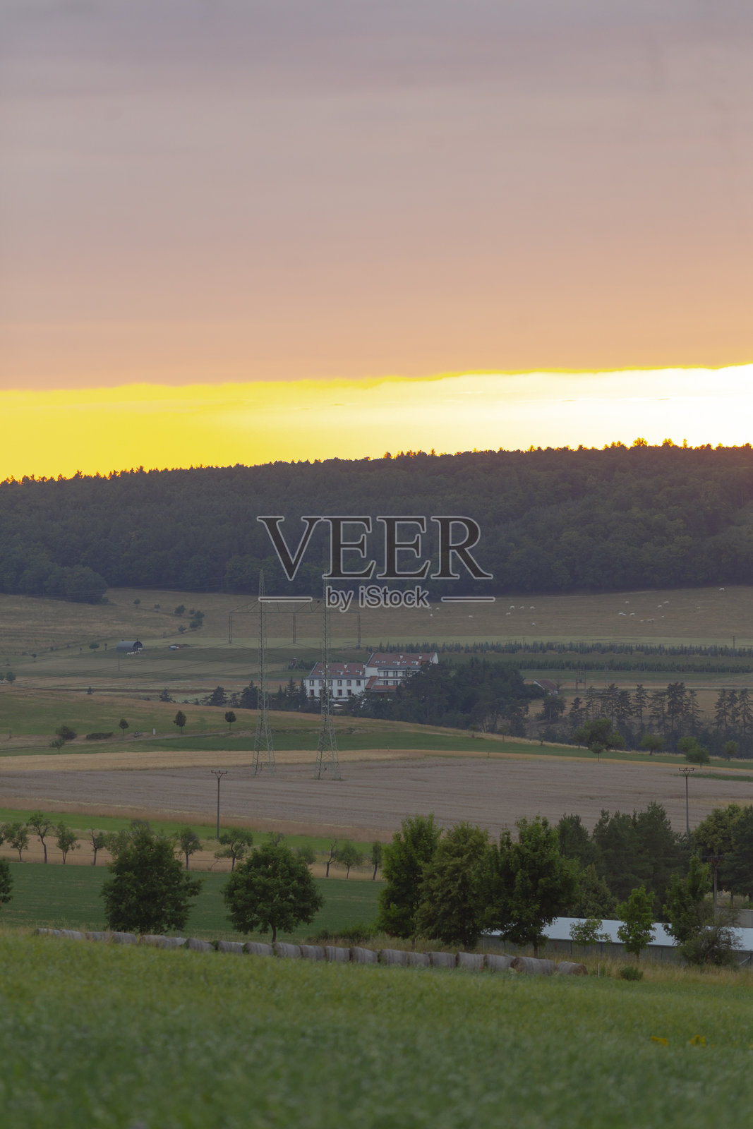 壮丽的日落为郁郁葱葱的绿色田野涂上了鲜艳的色彩照片摄影图片